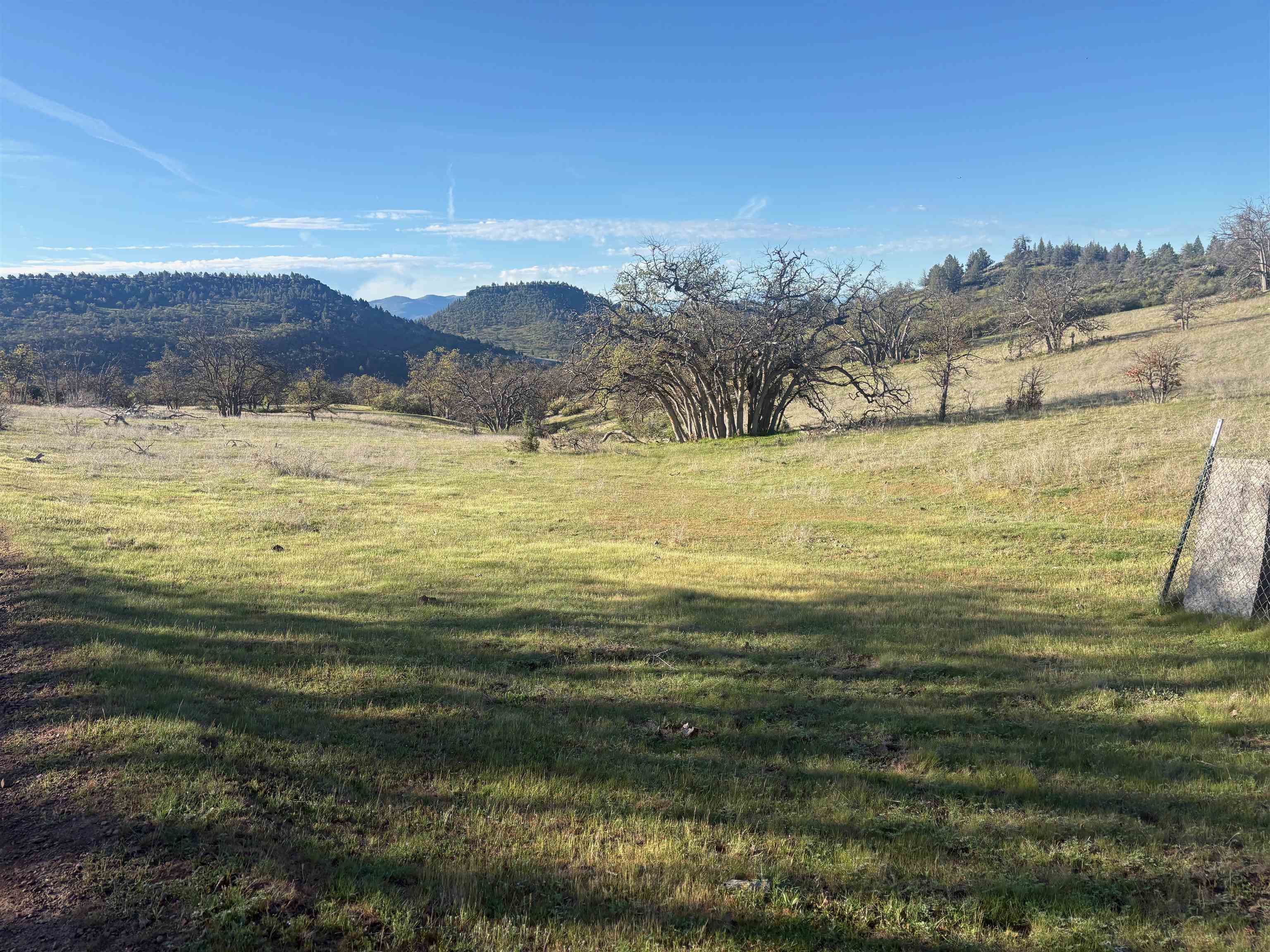 XXX Yellow Dog Trail