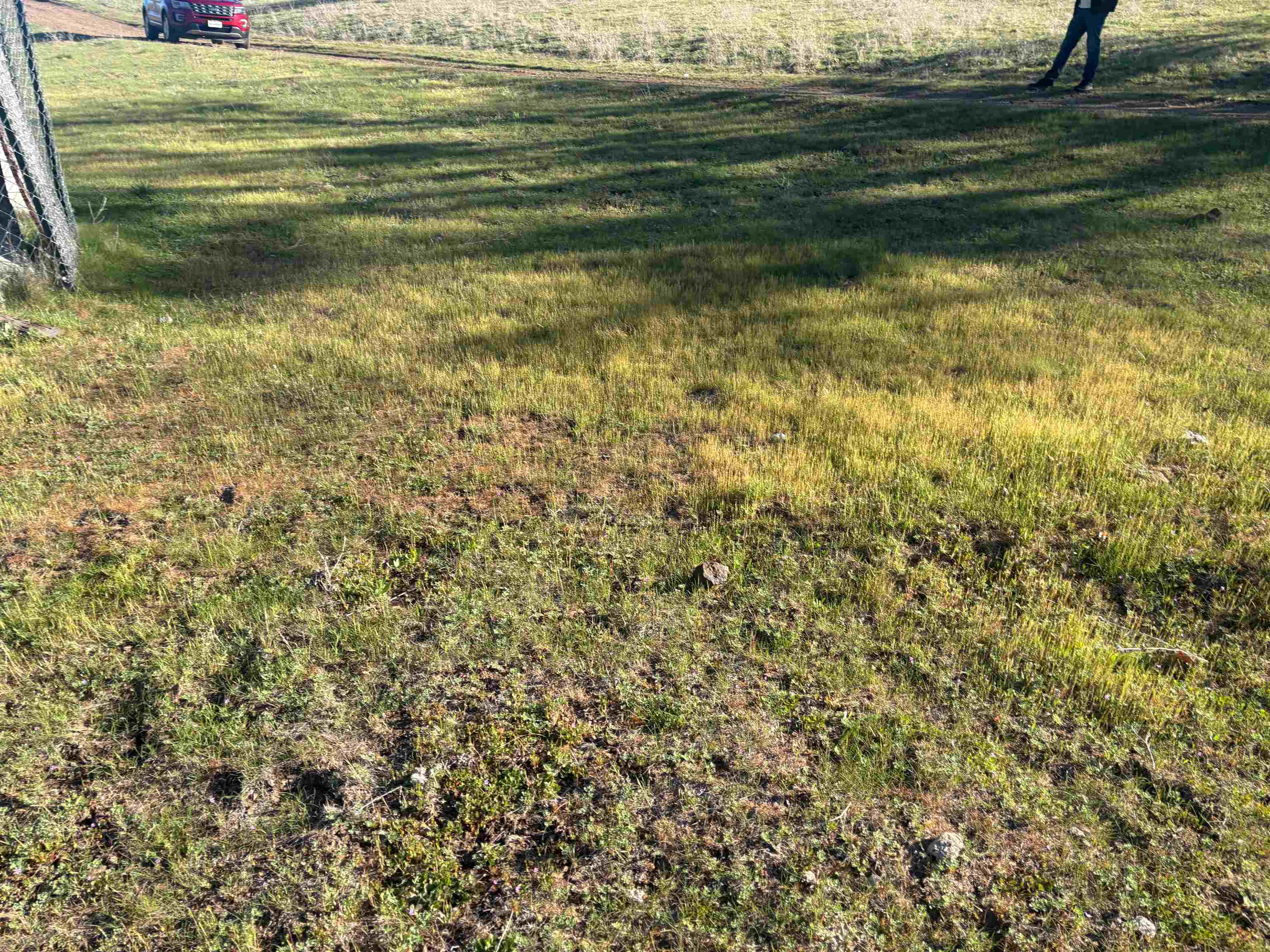 XXX Yellow Dog Trail