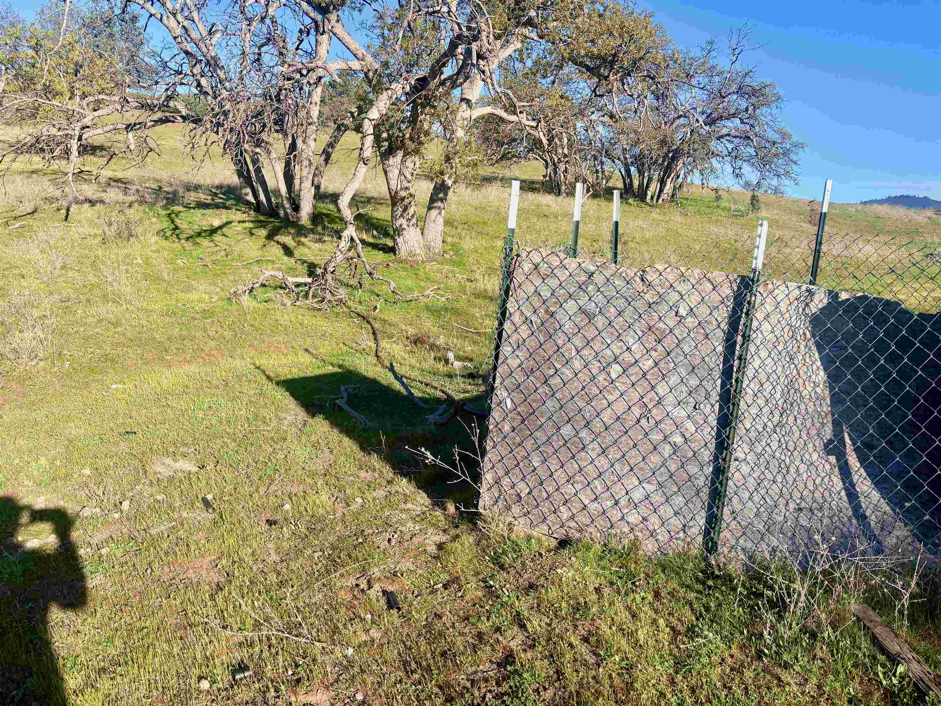 XXX Yellow Dog Trail