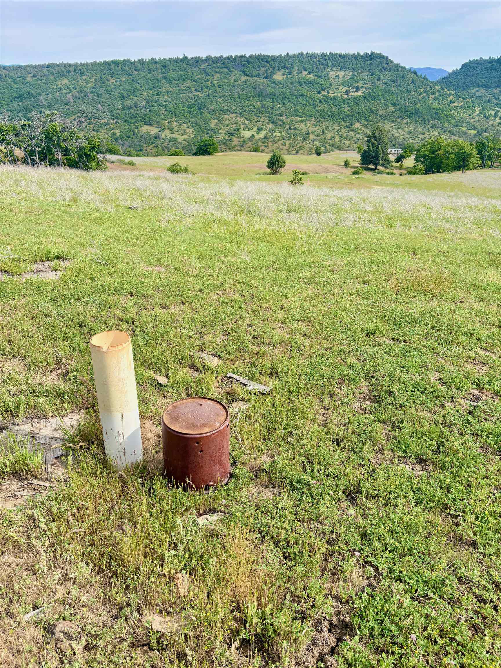 XXX Yellow Dog Trail