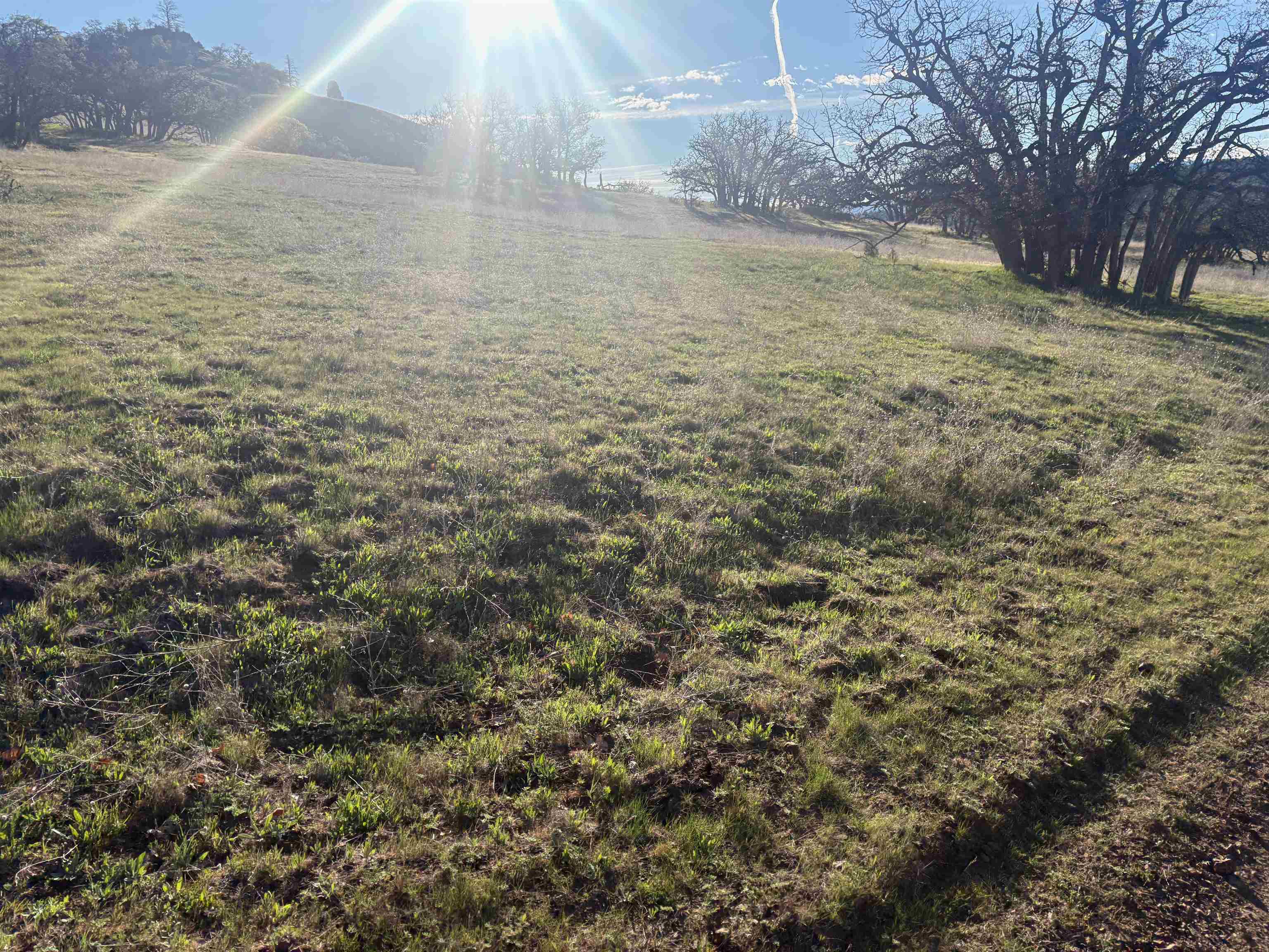 XXX Yellow Dog Trail