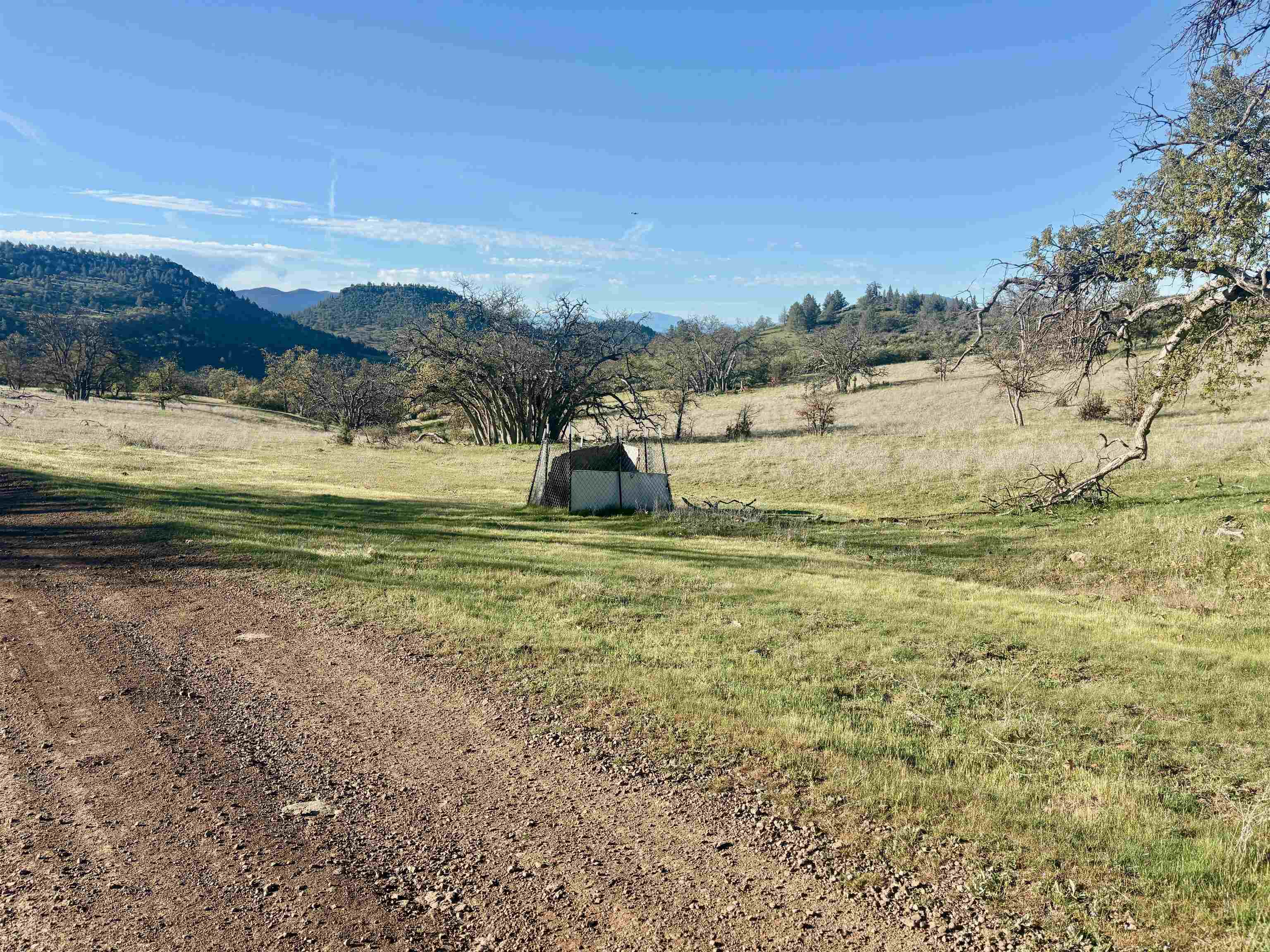 XXX Yellow Dog Trail