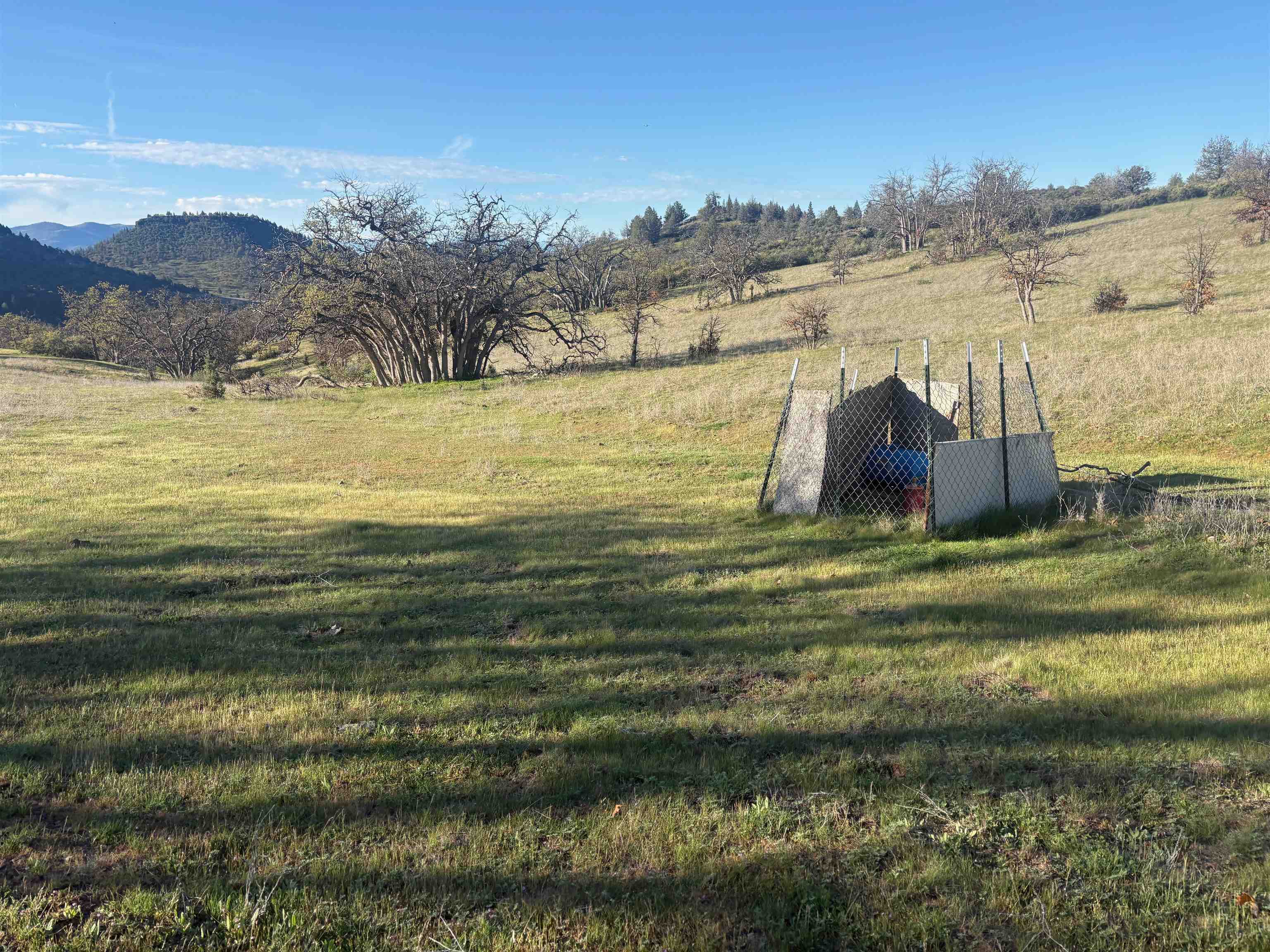 XXX Yellow Dog Trail