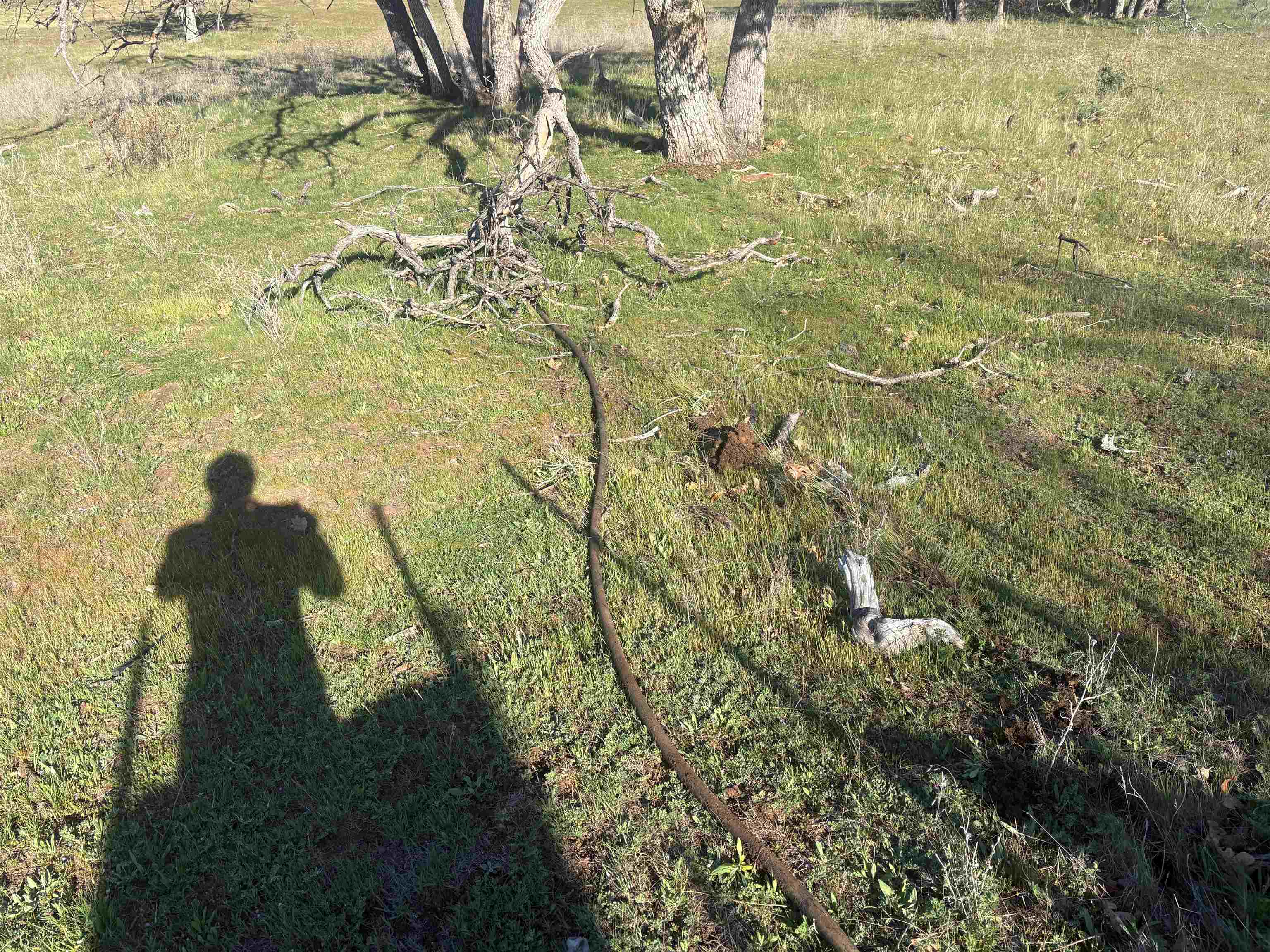 XXX Yellow Dog Trail