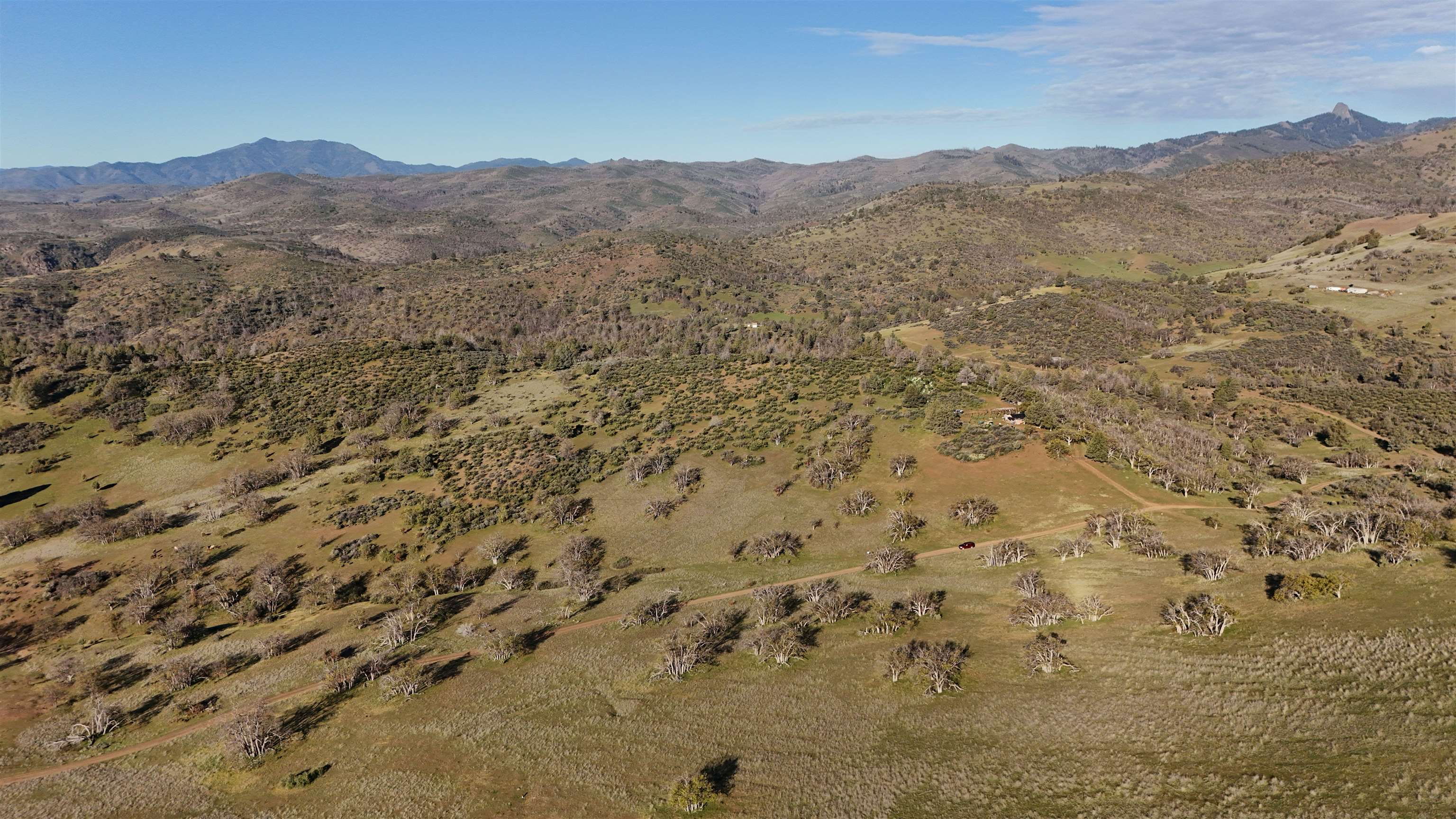 XXX Yellow Dog Trail