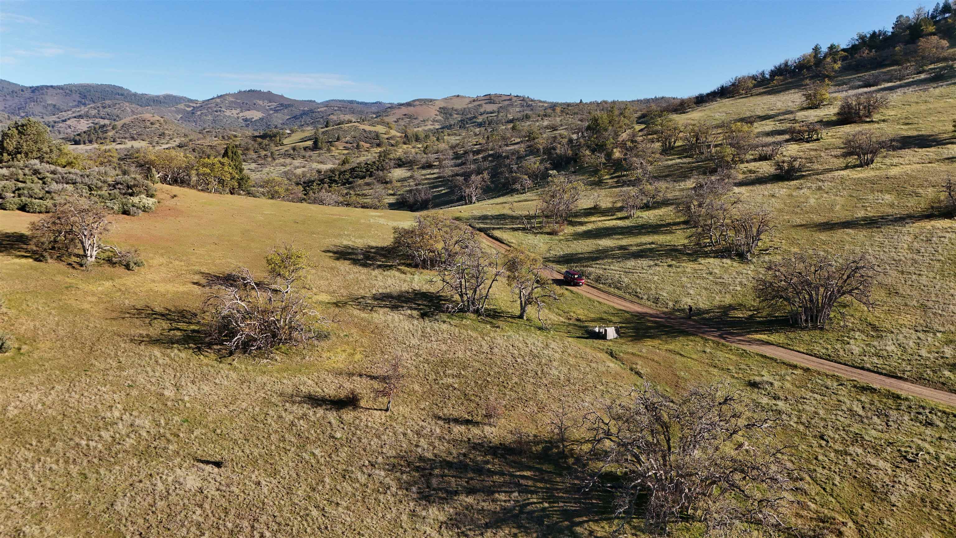 XXX Yellow Dog Trail