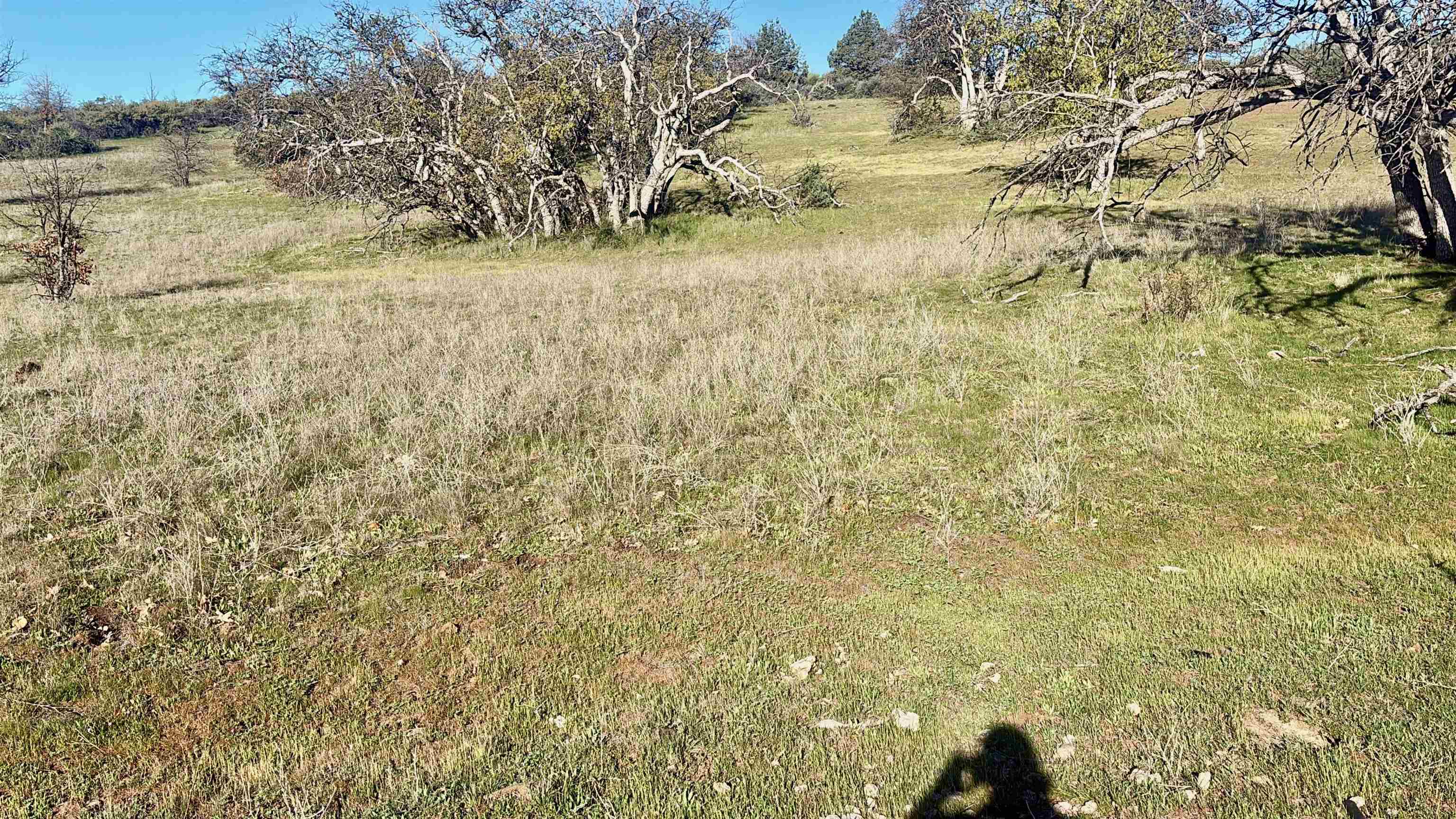 XXX Yellow Dog Trail