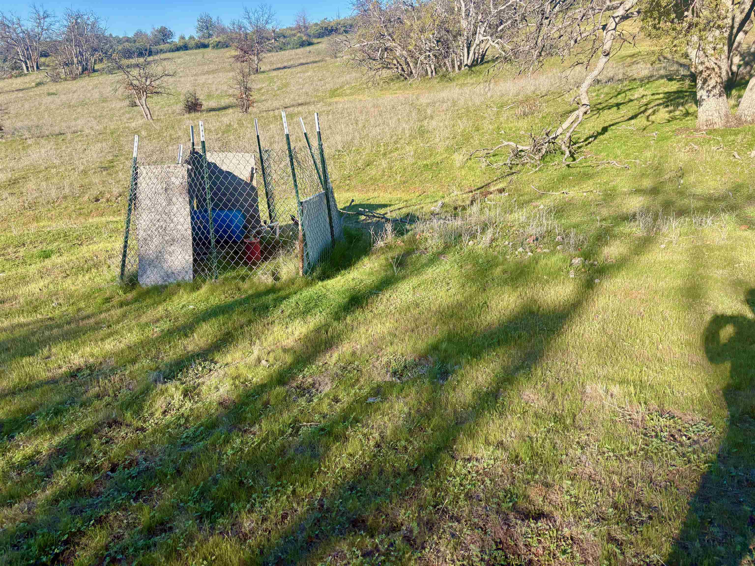 XXX Yellow Dog Trail