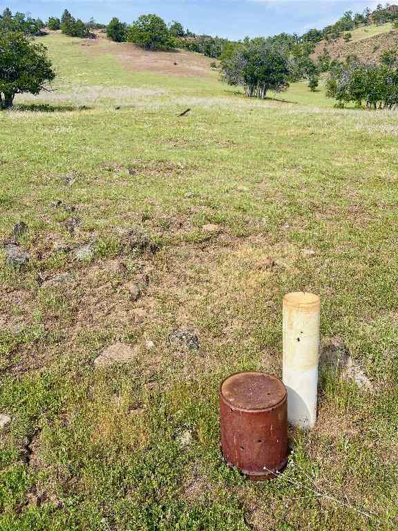 XXX Yellow Dog Trail