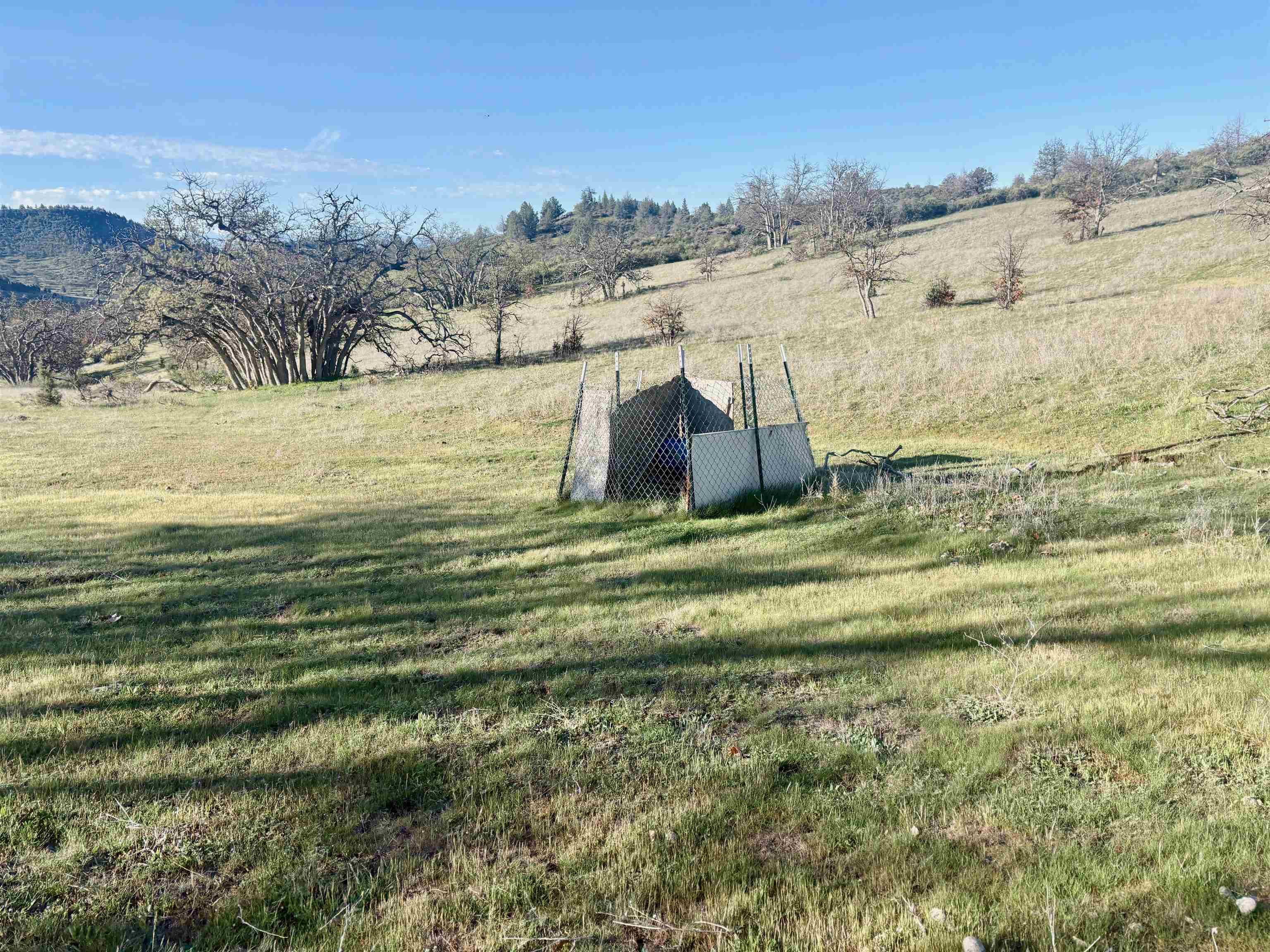 XXX Yellow Dog Trail