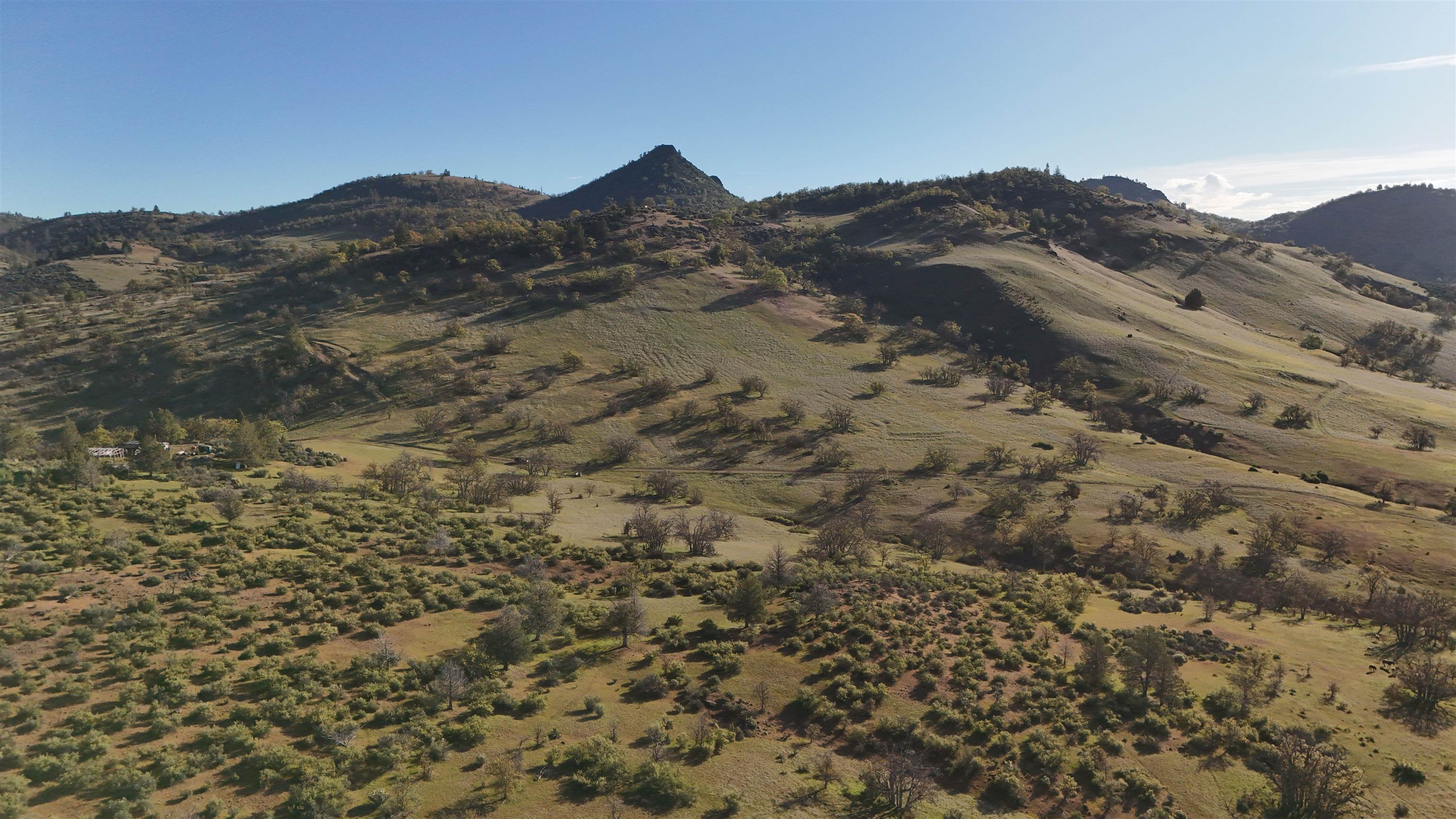 XXX Yellow Dog Trail