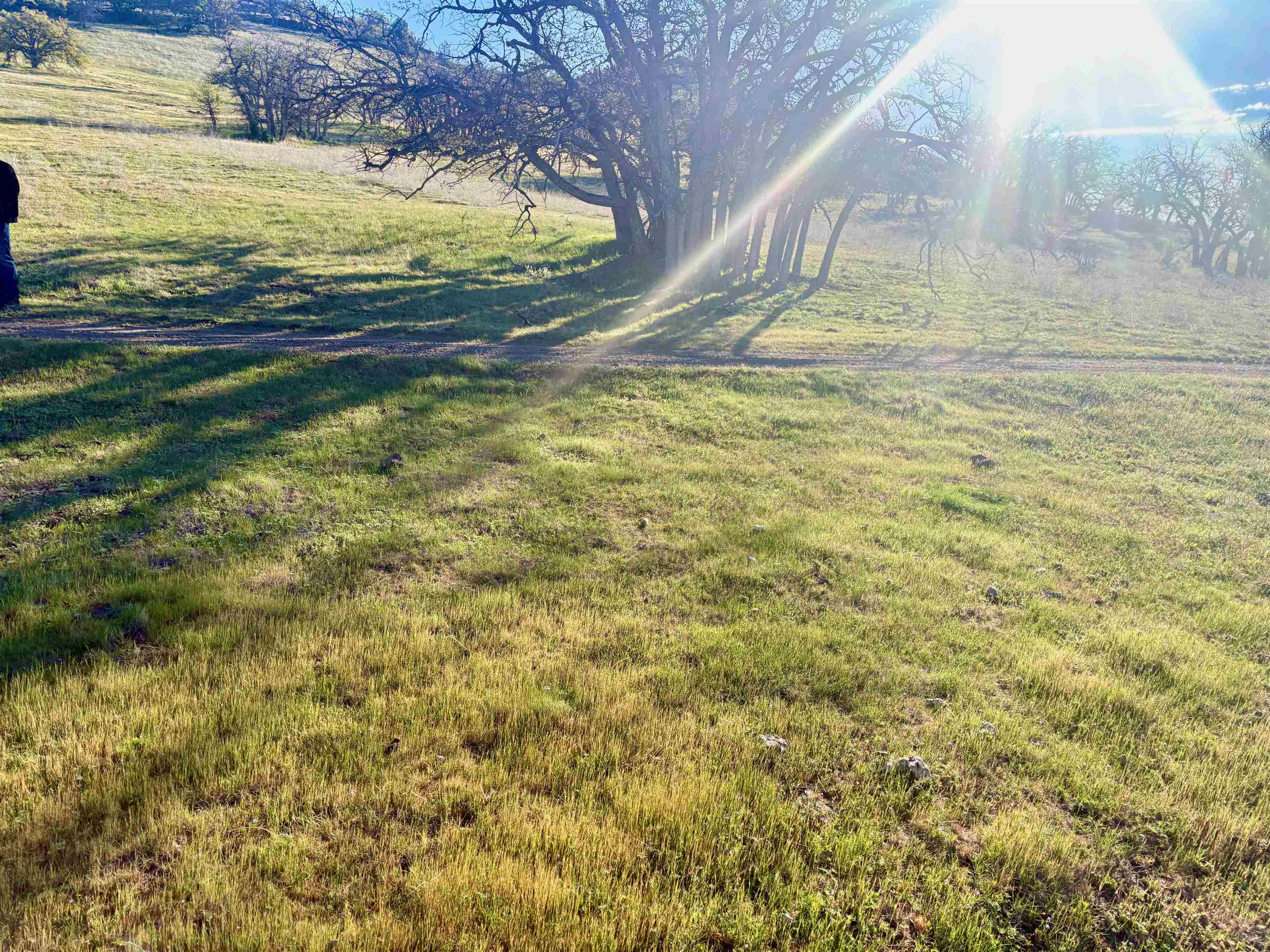 XXX Yellow Dog Trail