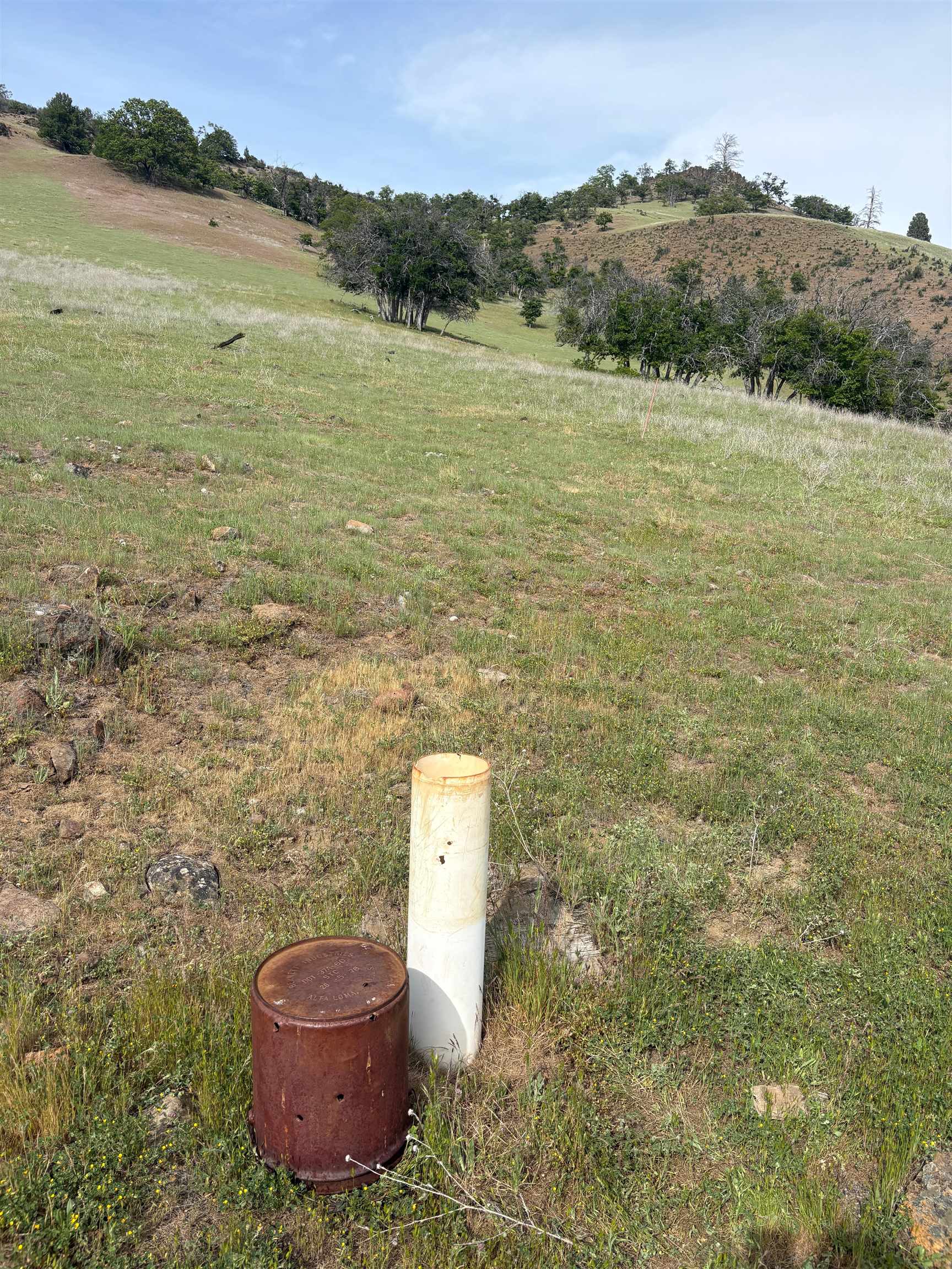 XXX Yellow Dog Trail