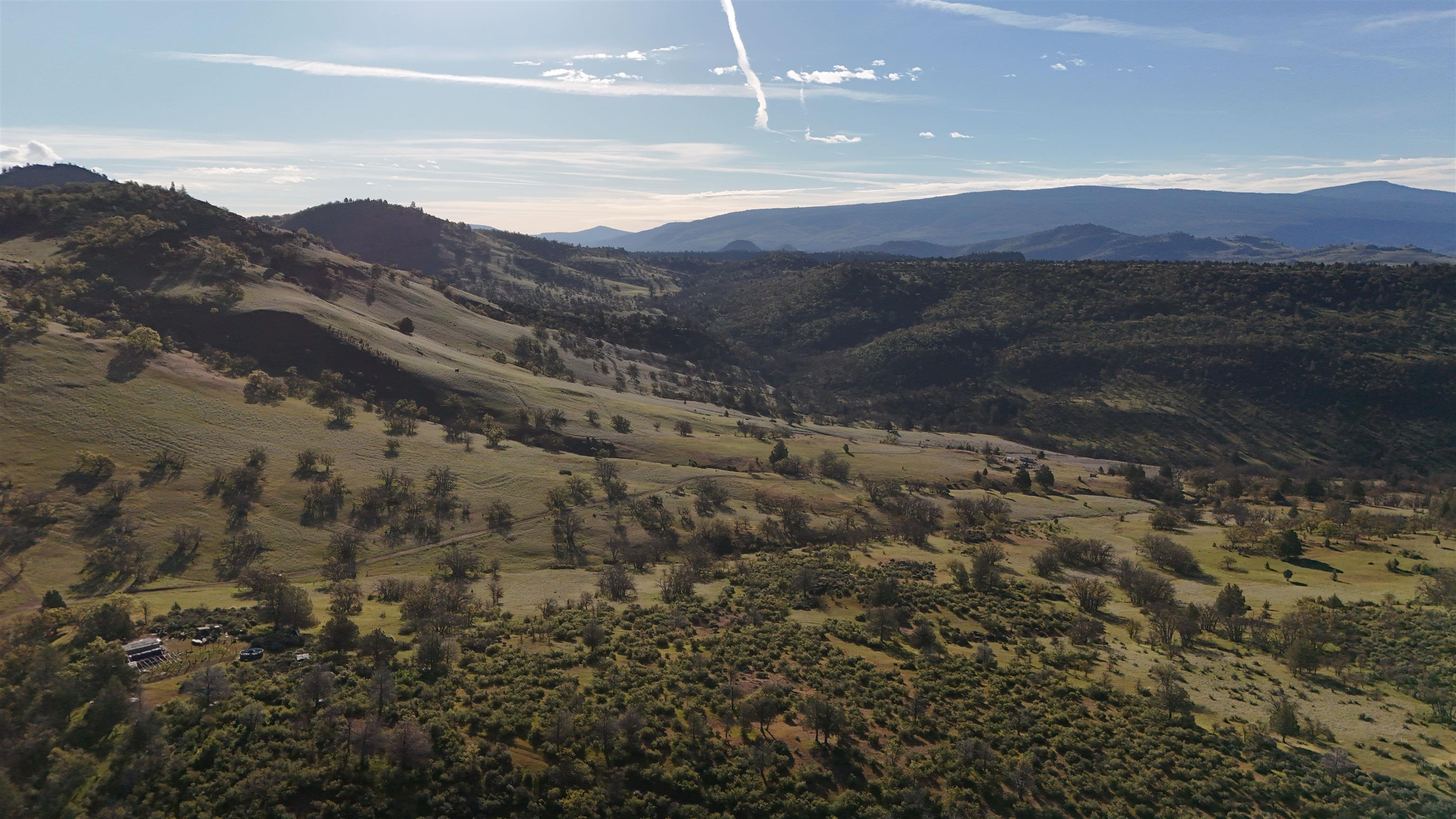 XXX Yellow Dog Trail