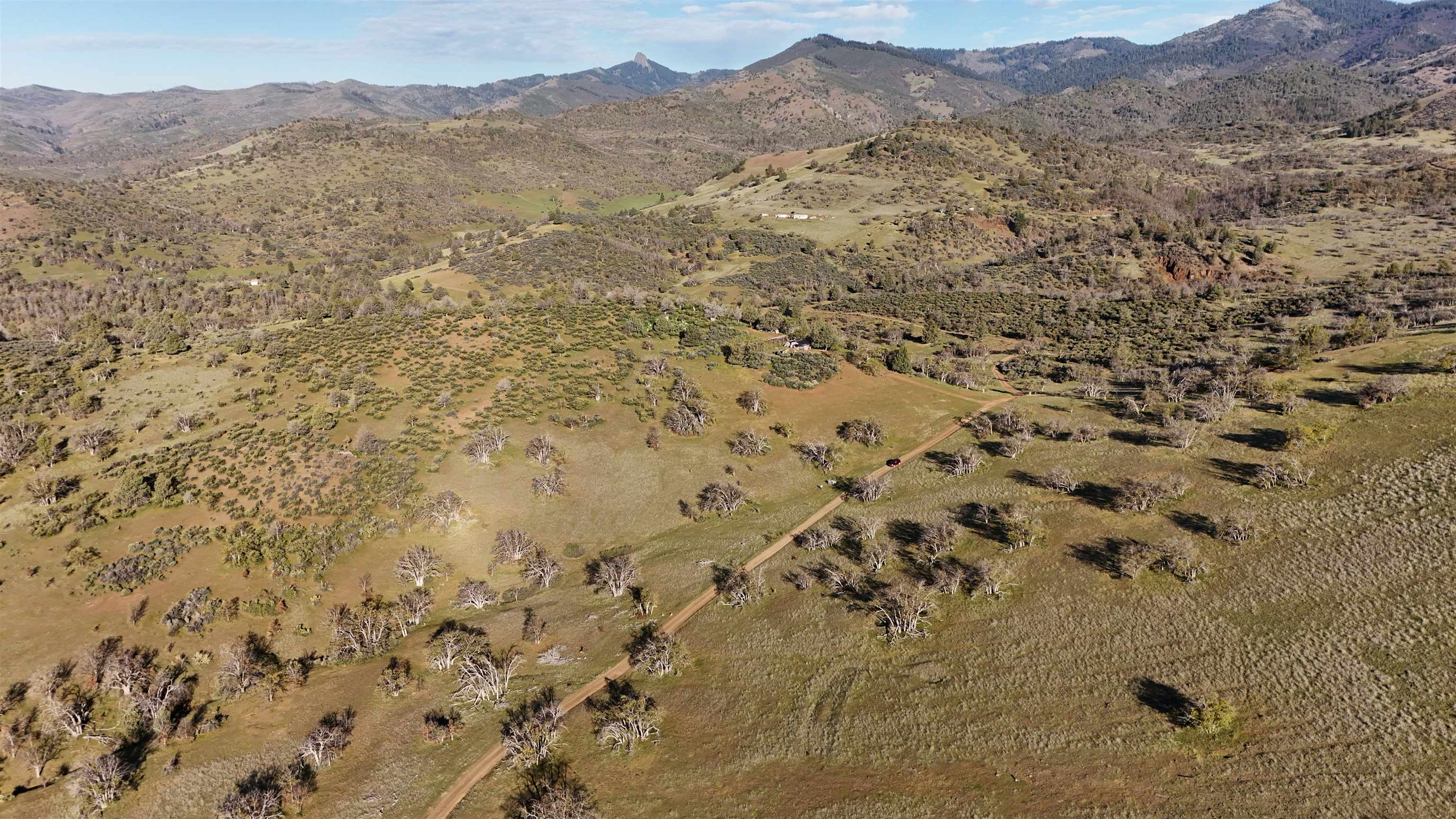 XXX Yellow Dog Trail