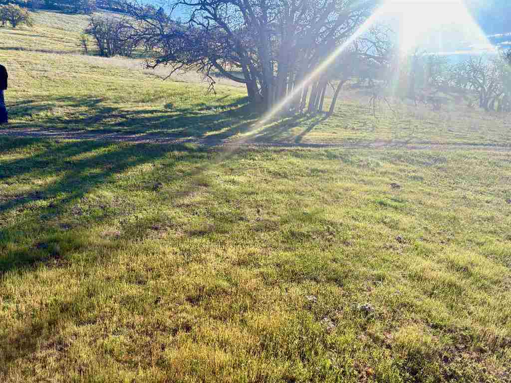 XXX Yellow Dog Trail