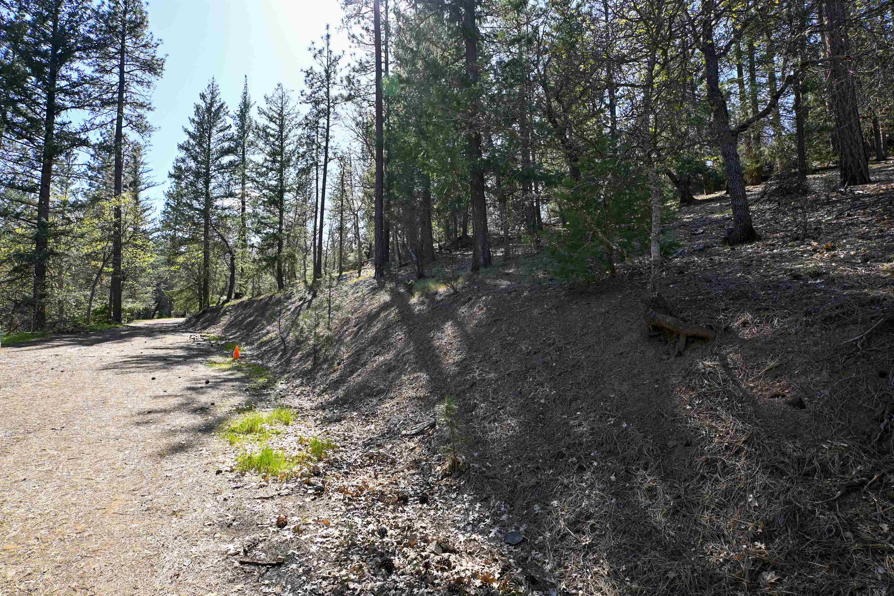 15640 Quartz Valley Dr.