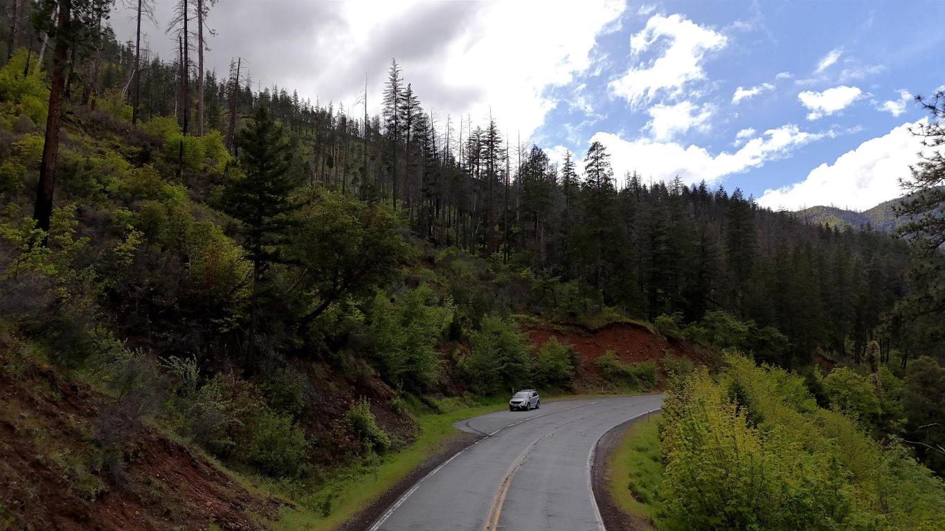XX Highway 96