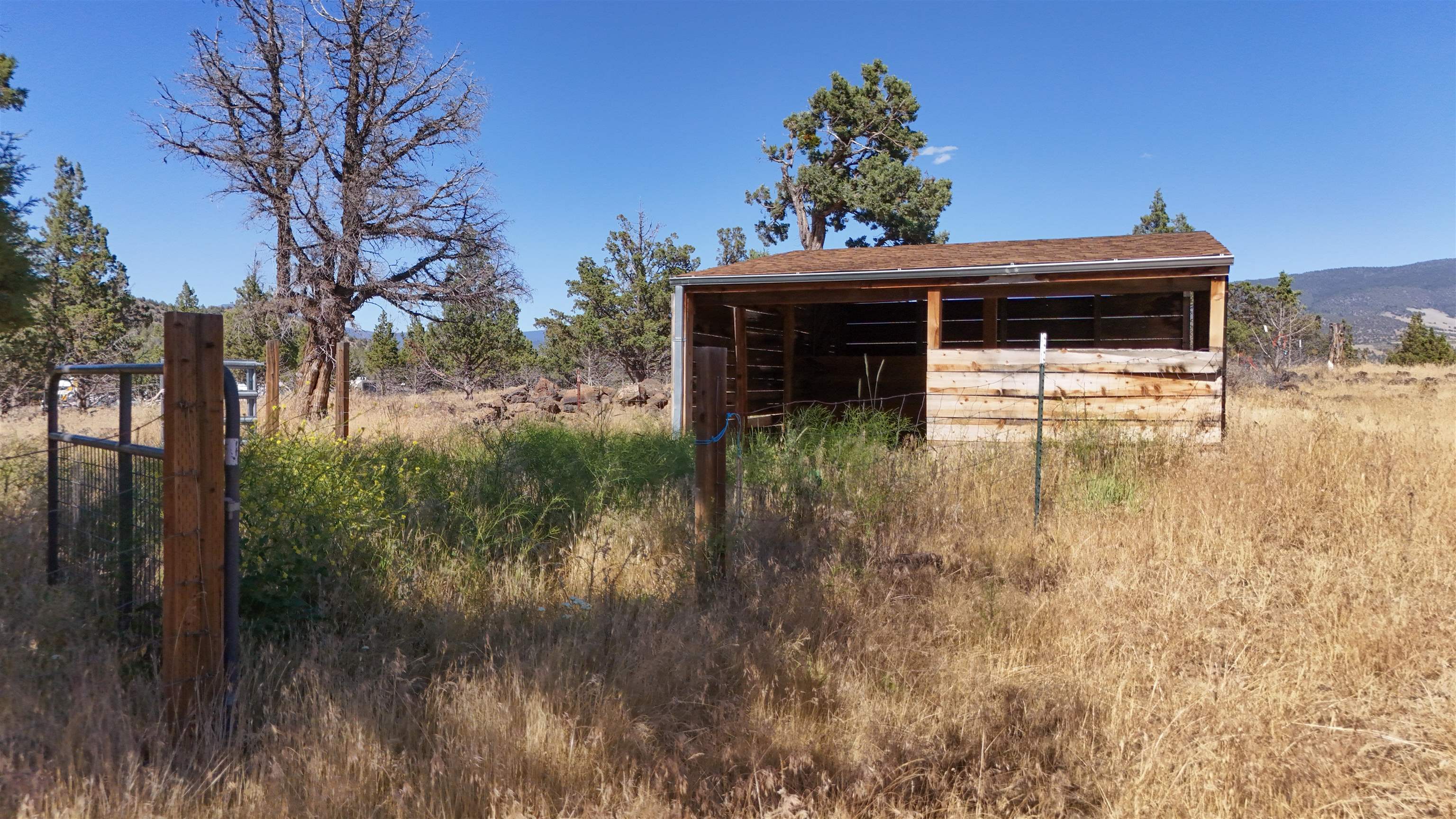 00 Amethyst Ave.