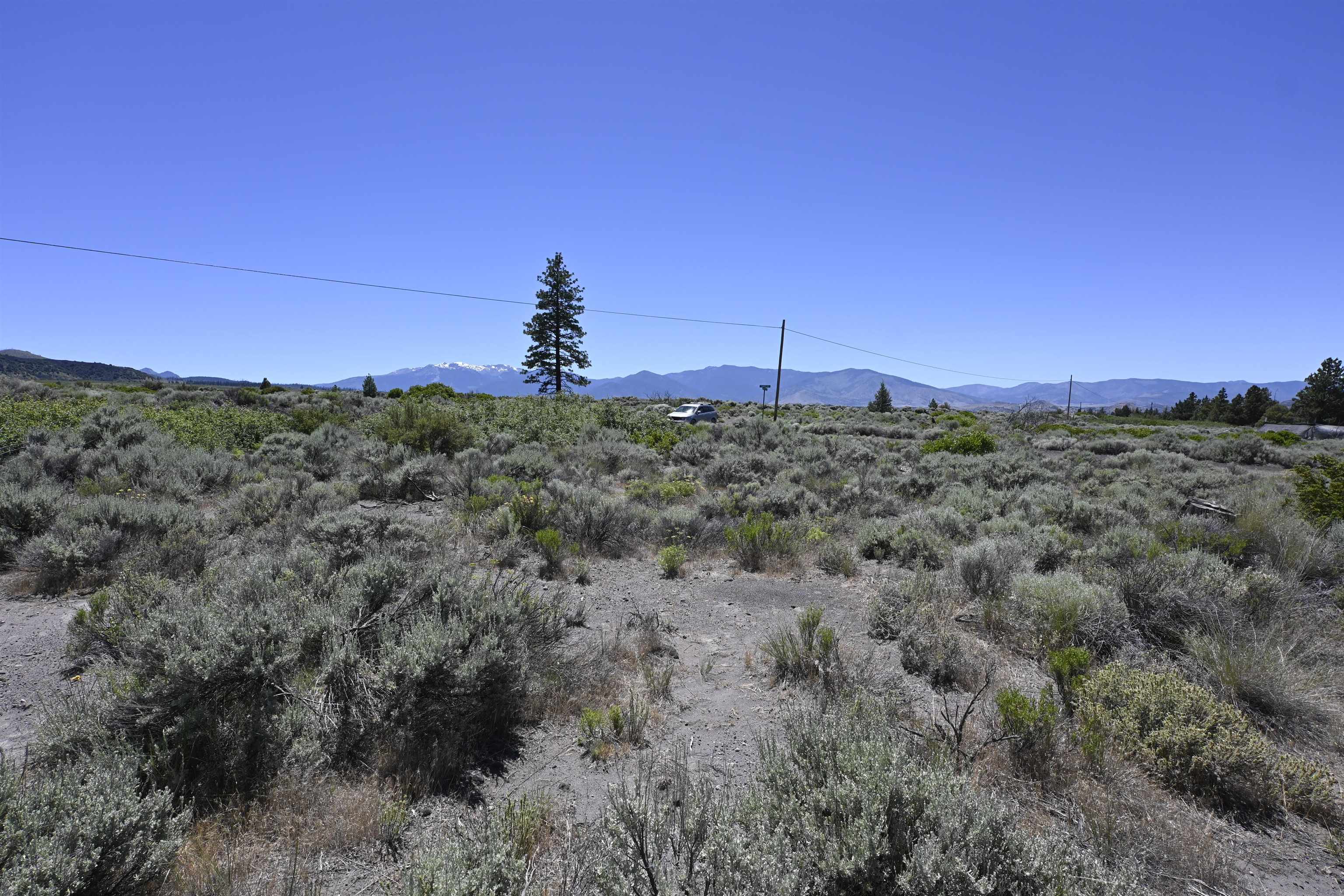 Lot 09 Timber Rd