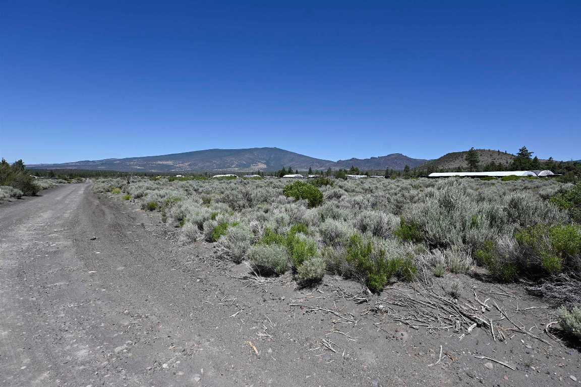 Lot 09 Timber Rd