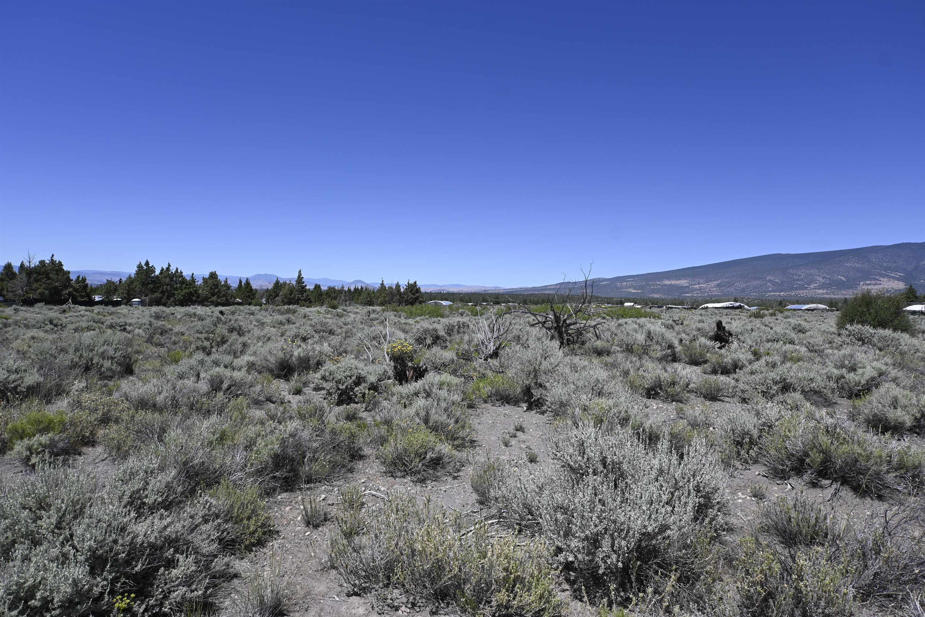 Lot 09 Timber Rd