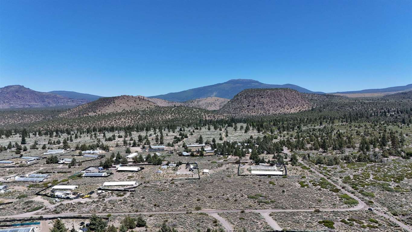Lot 09 Timber Rd