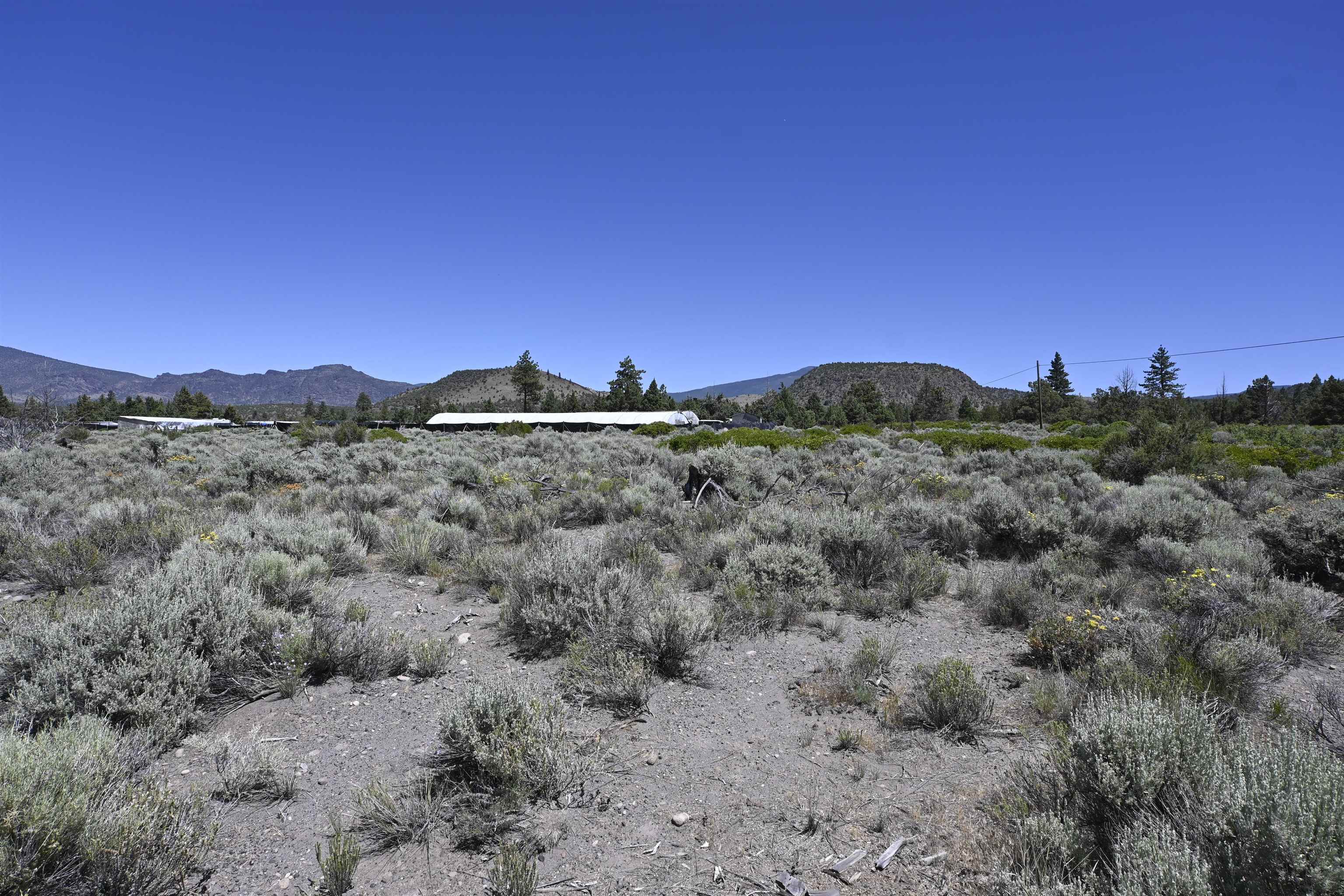 Lot 09 Timber Rd