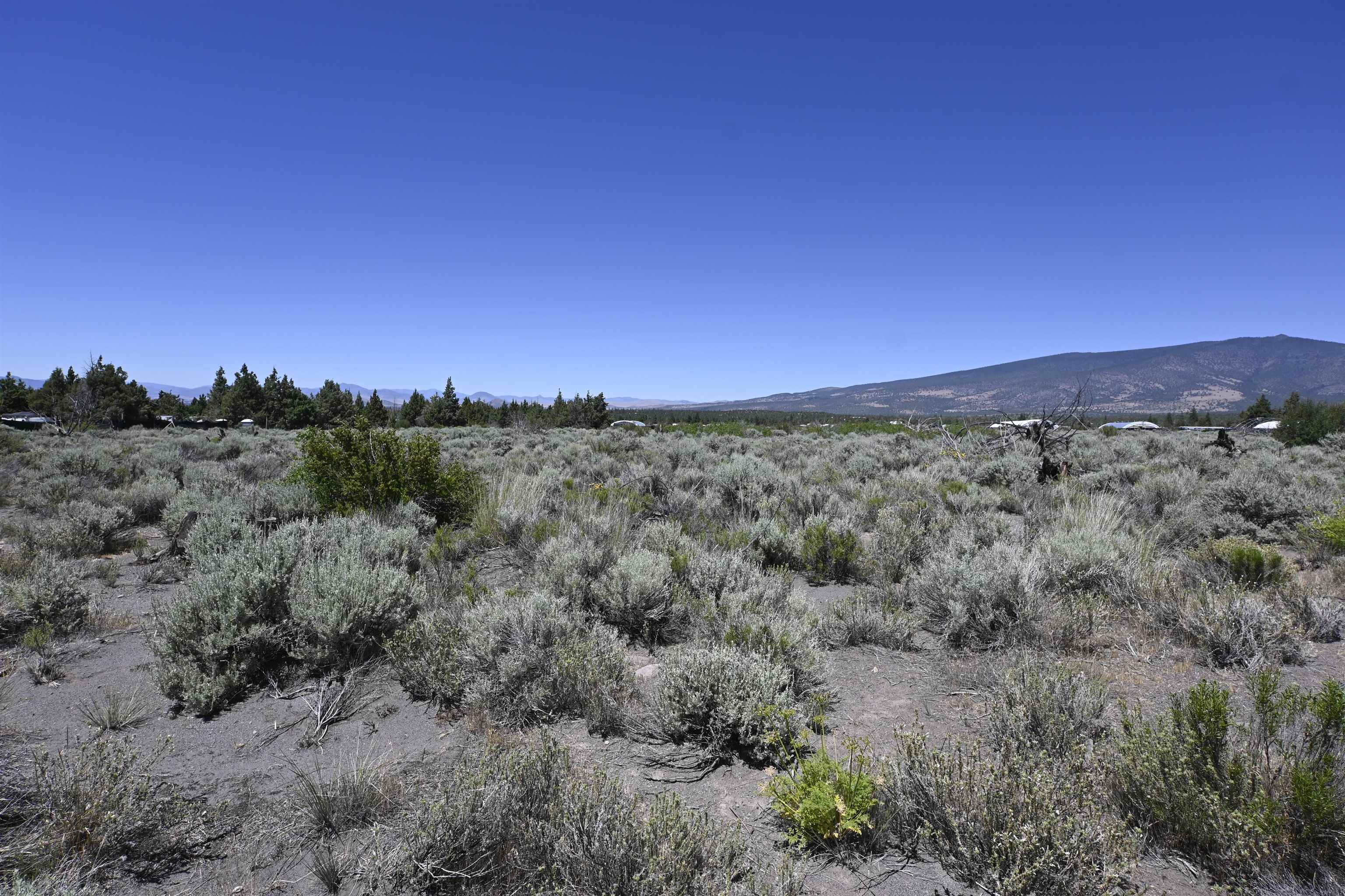 Lot 09 Timber Rd