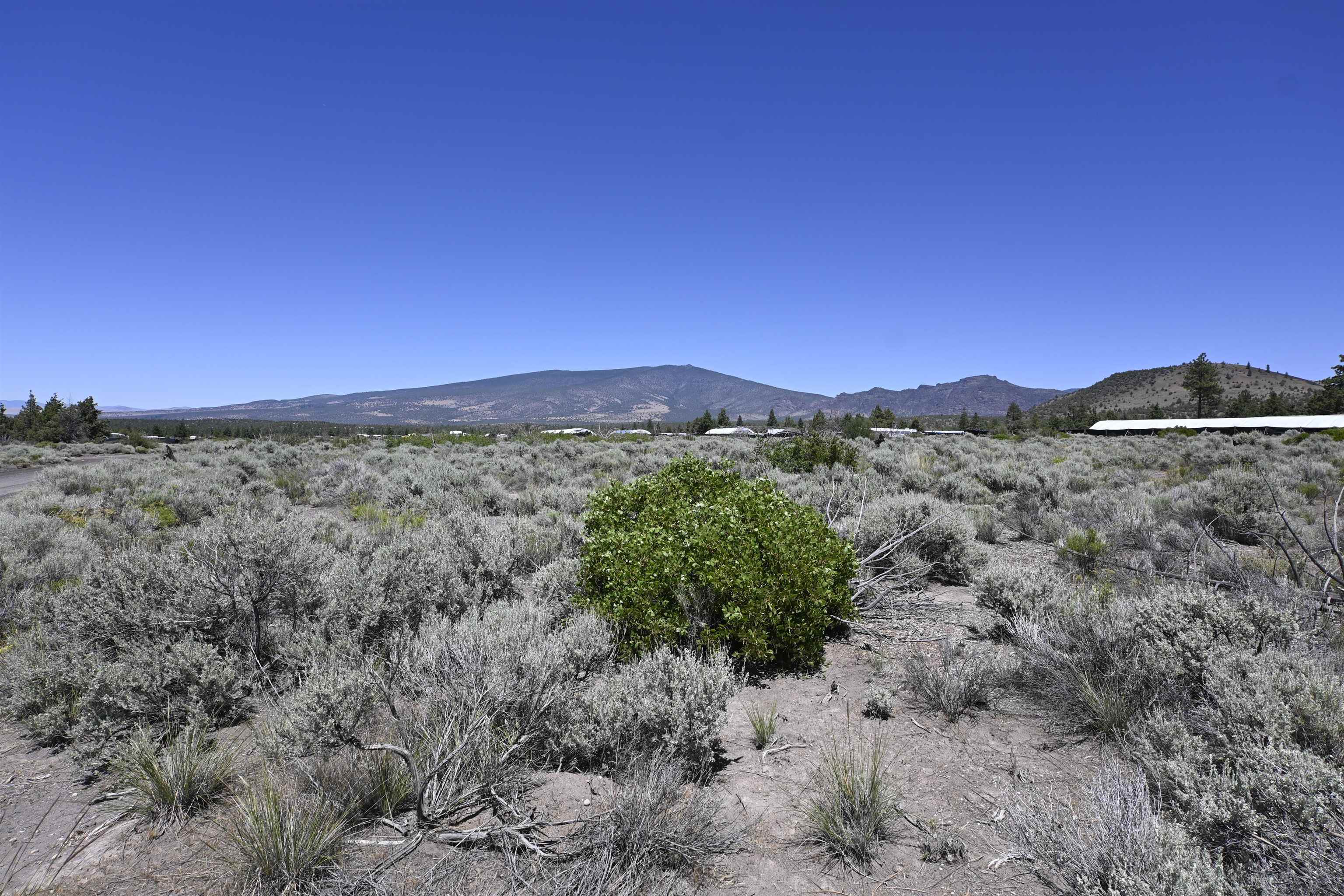 Lot 09 Timber Rd