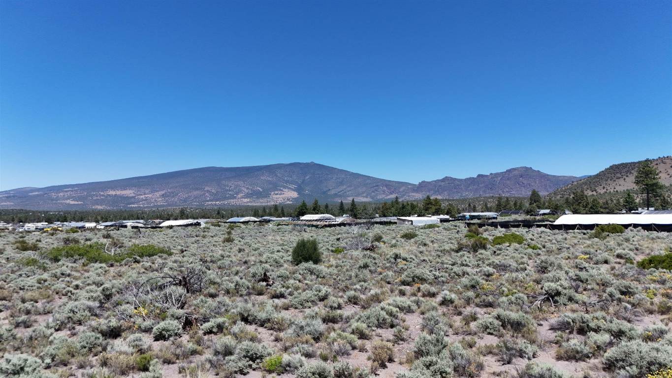 Lot 10 Timber Rd