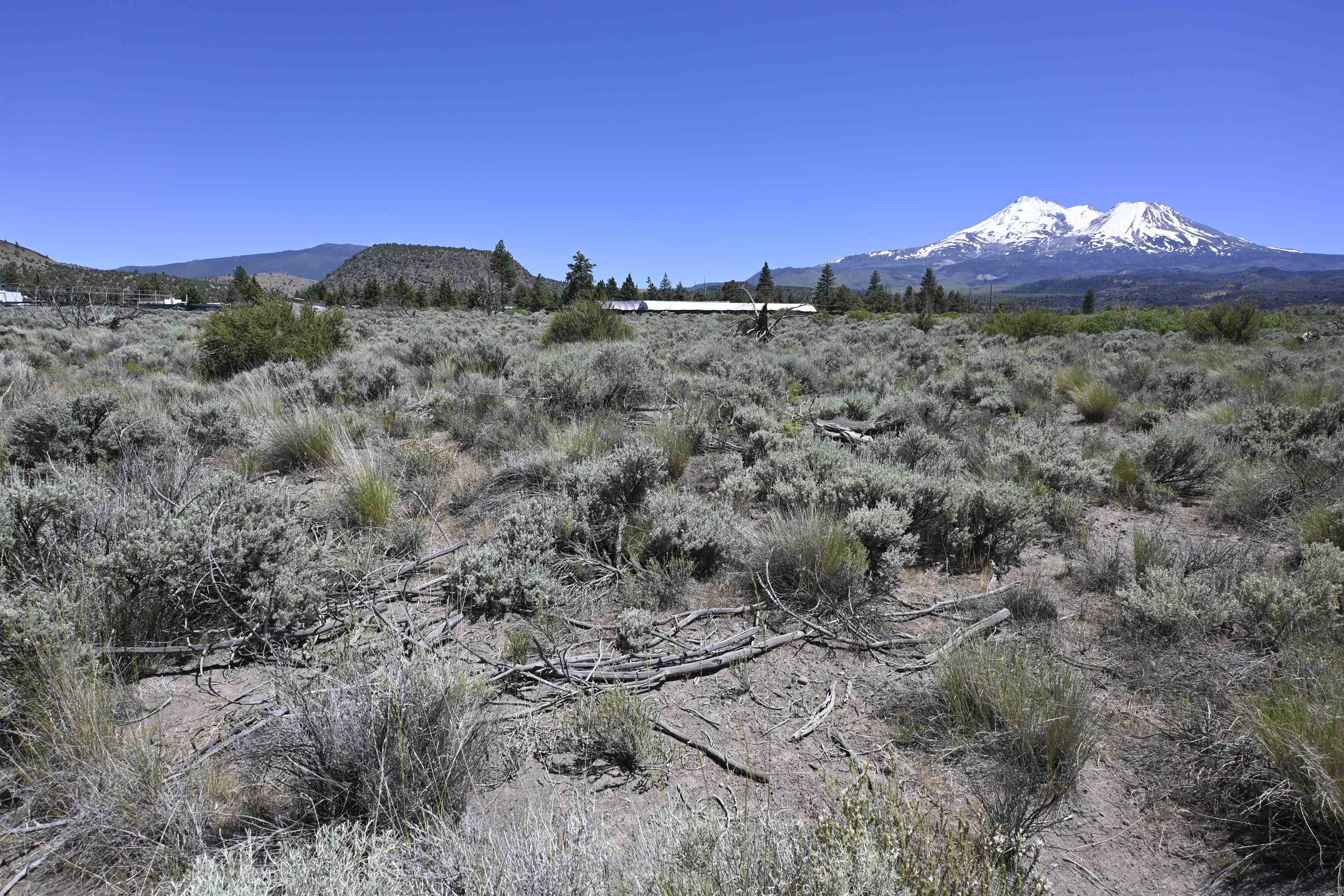 Lot 10 Timber Rd