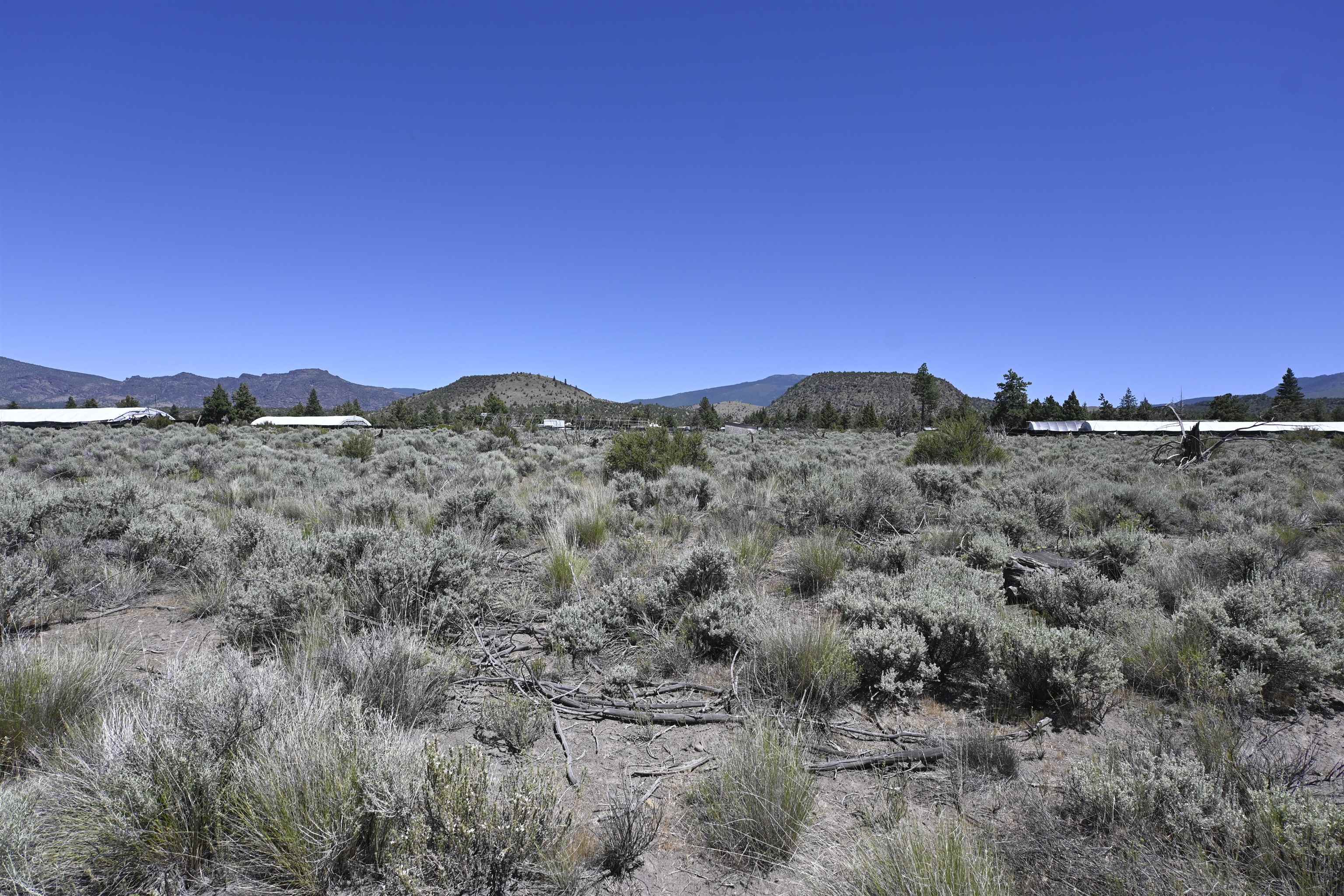Lot 10 Timber Rd
