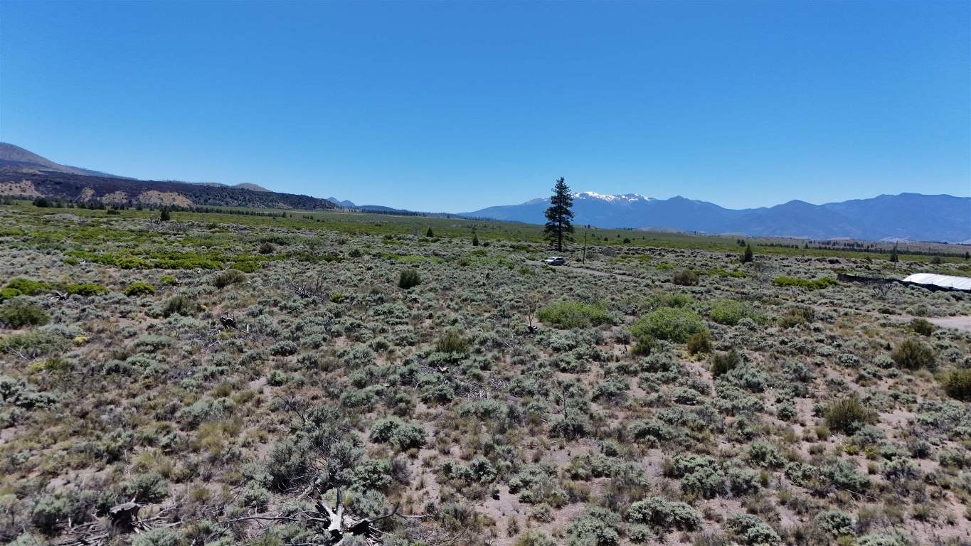 Lot 10 Timber Rd