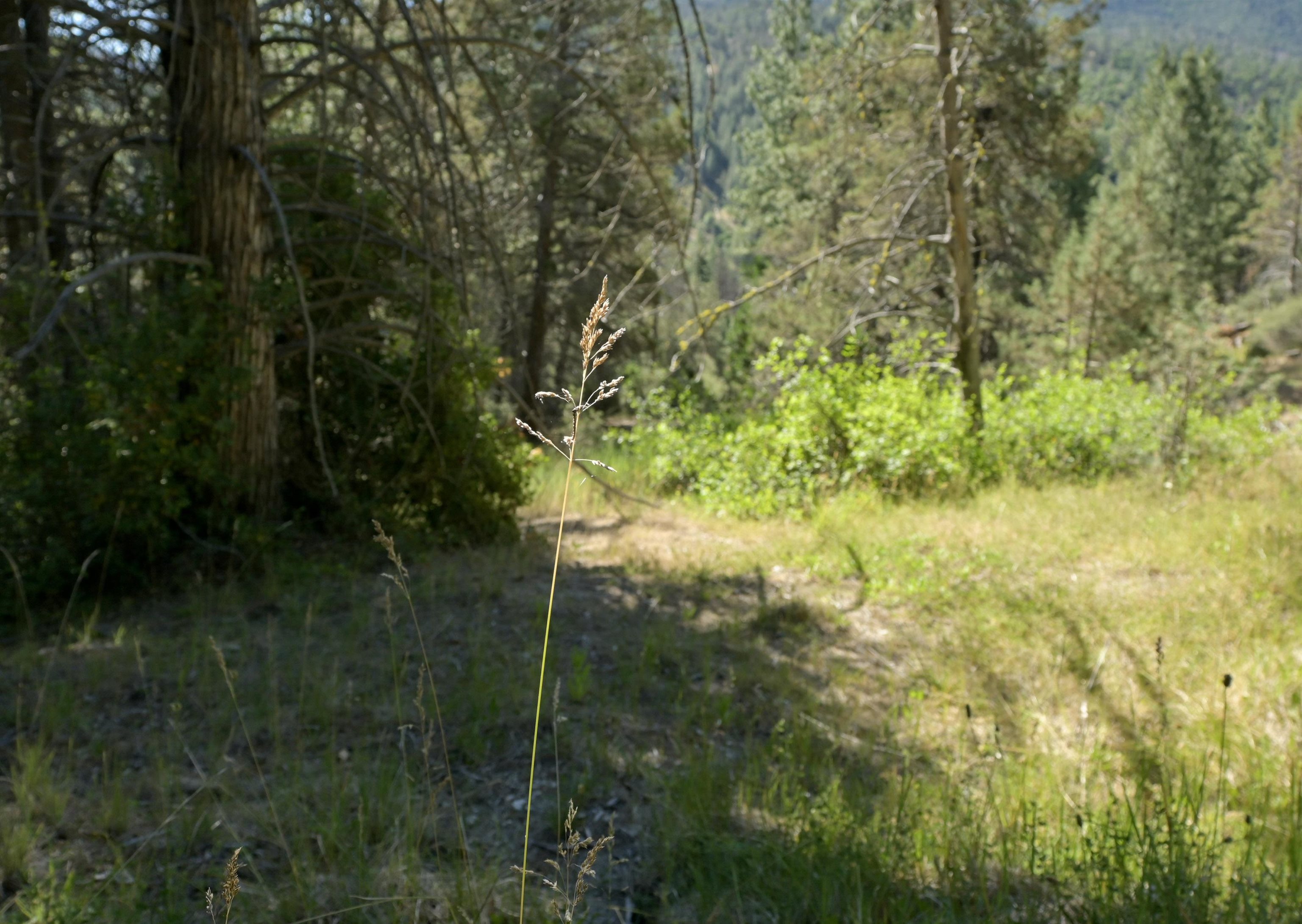 1 Duzel Creek Rd