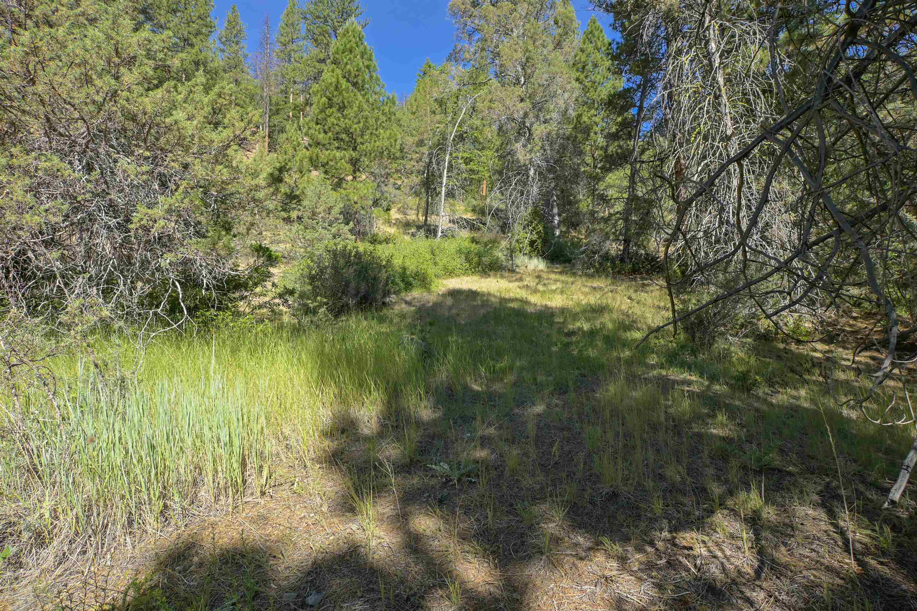 1 Duzel Creek Rd