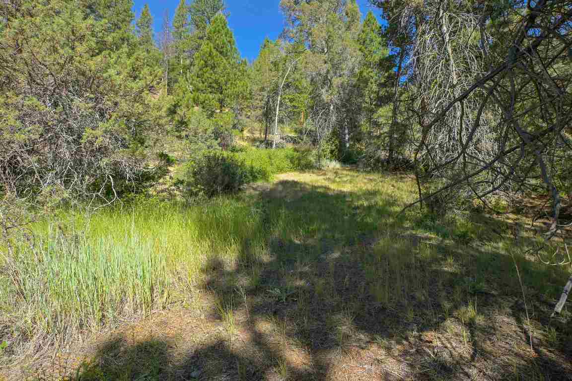 1 Duzel Creek Rd