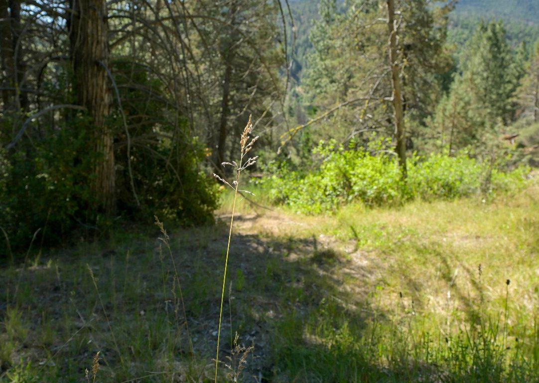 1 Duzel Creek Rd