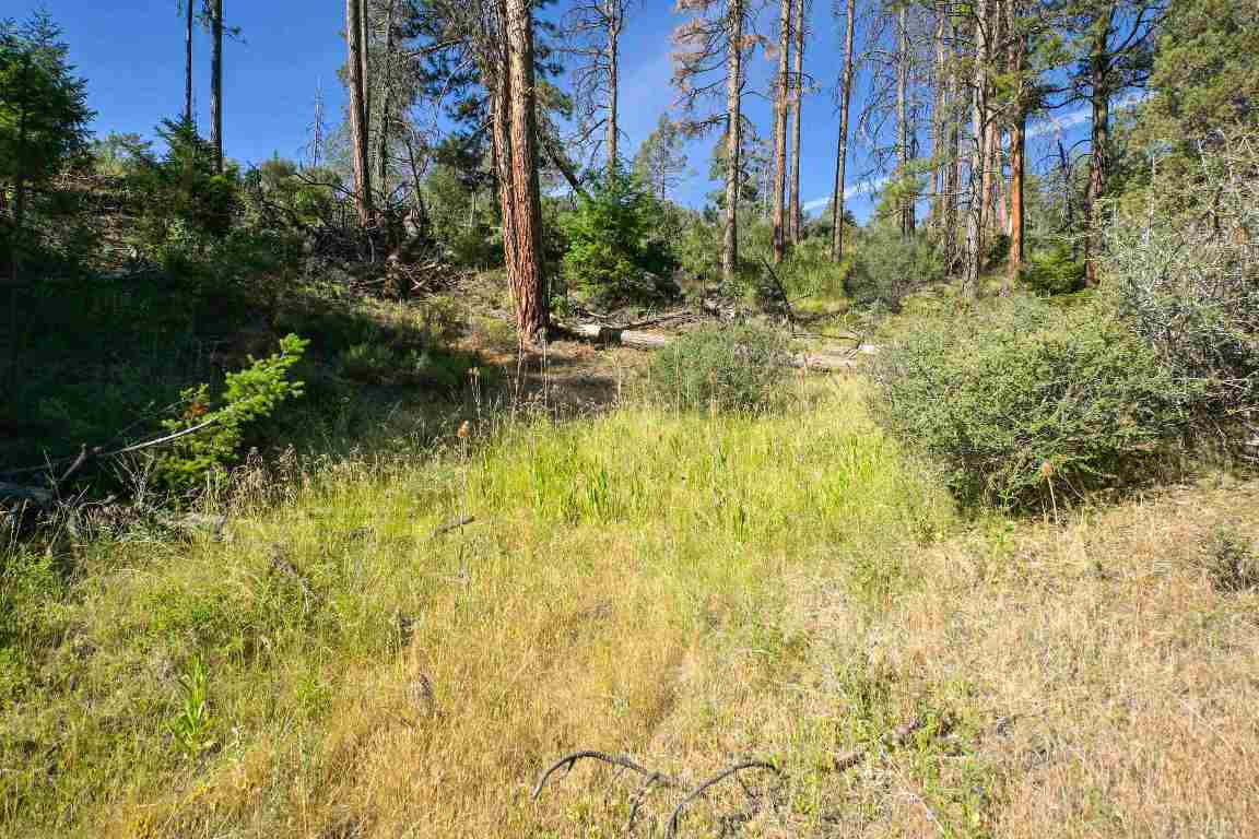1 Duzel Creek Rd