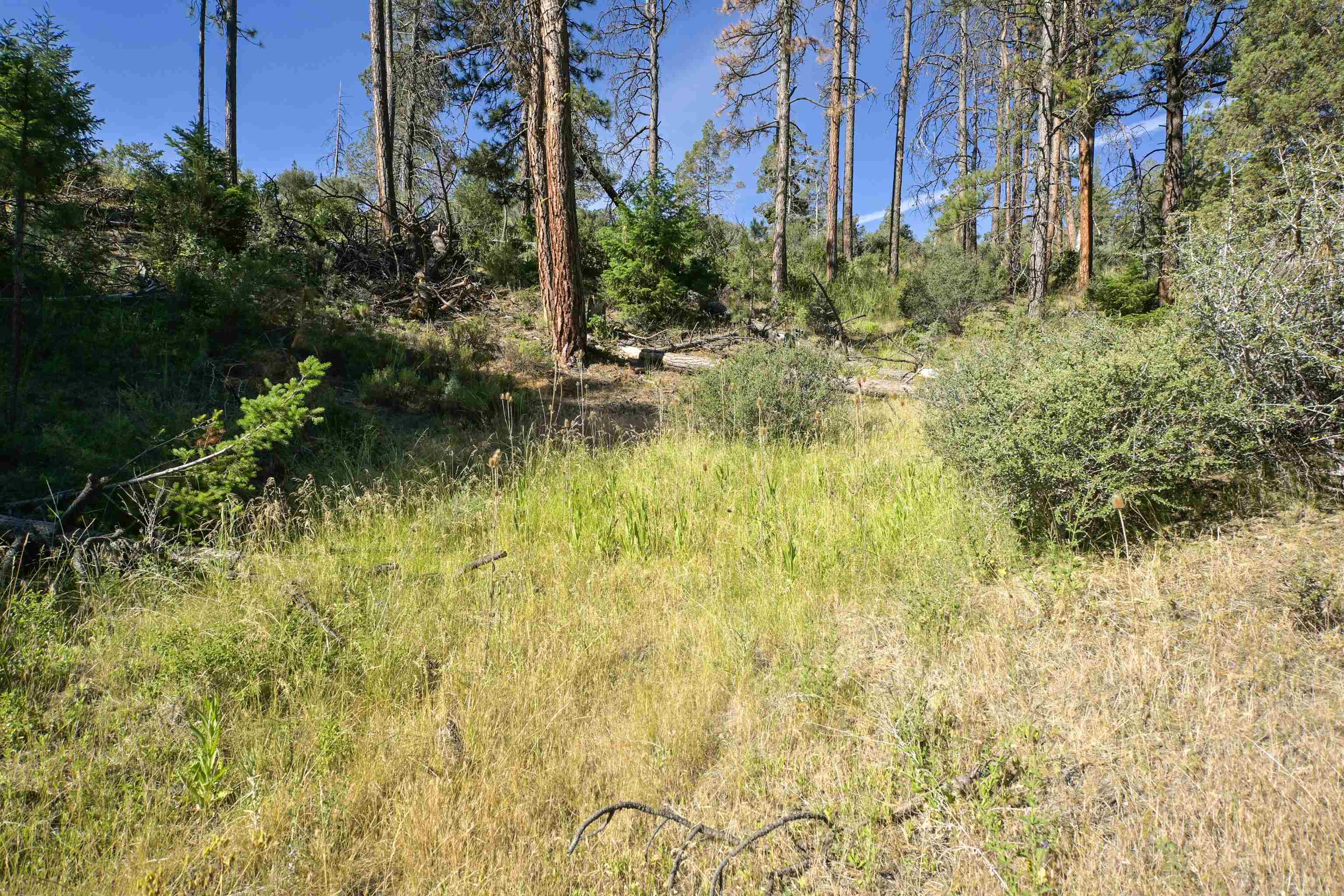 1 Duzel Creek Rd