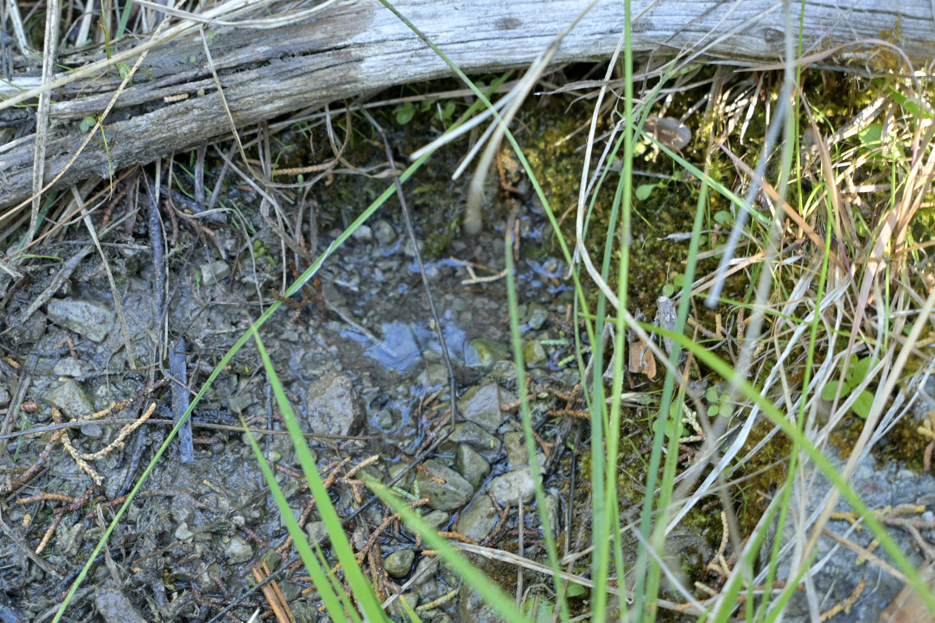 1 Duzel Creek Rd