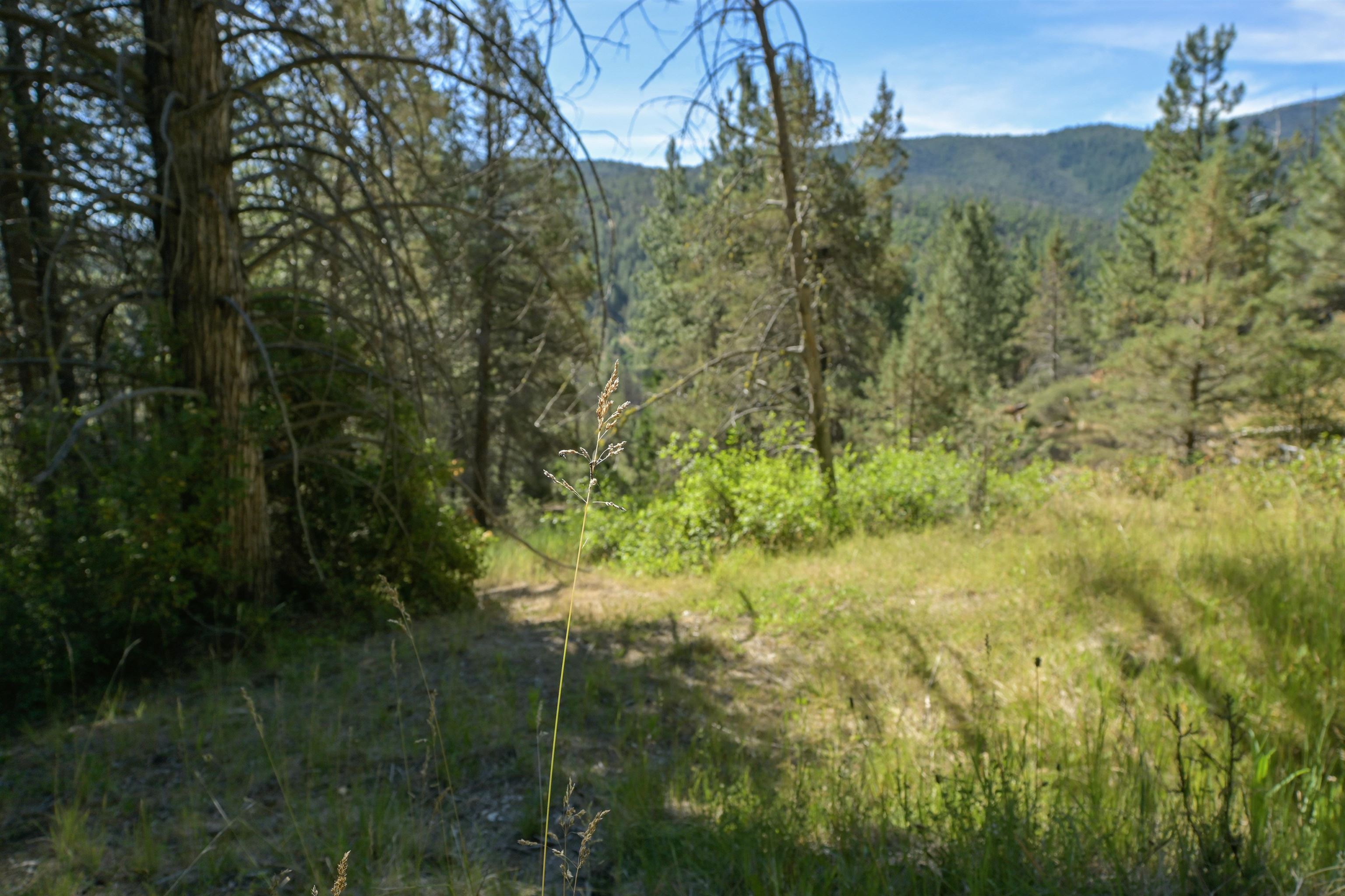 1 Duzel Creek Rd