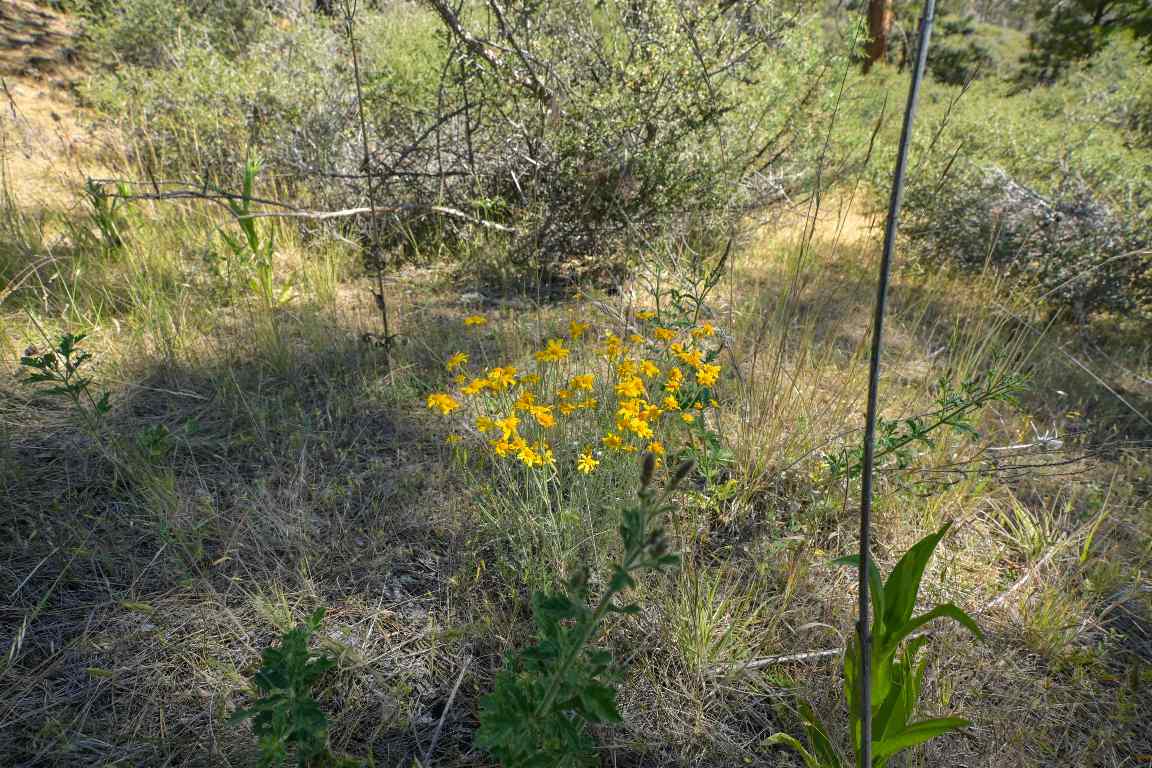 1 Duzel Creek Rd