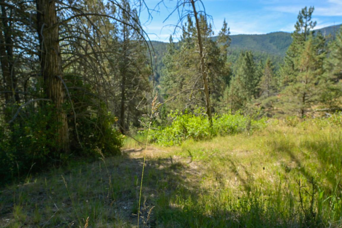 1 Duzel Creek Rd