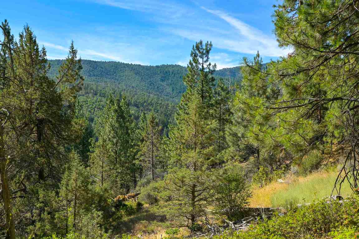 1 Duzel Creek Rd