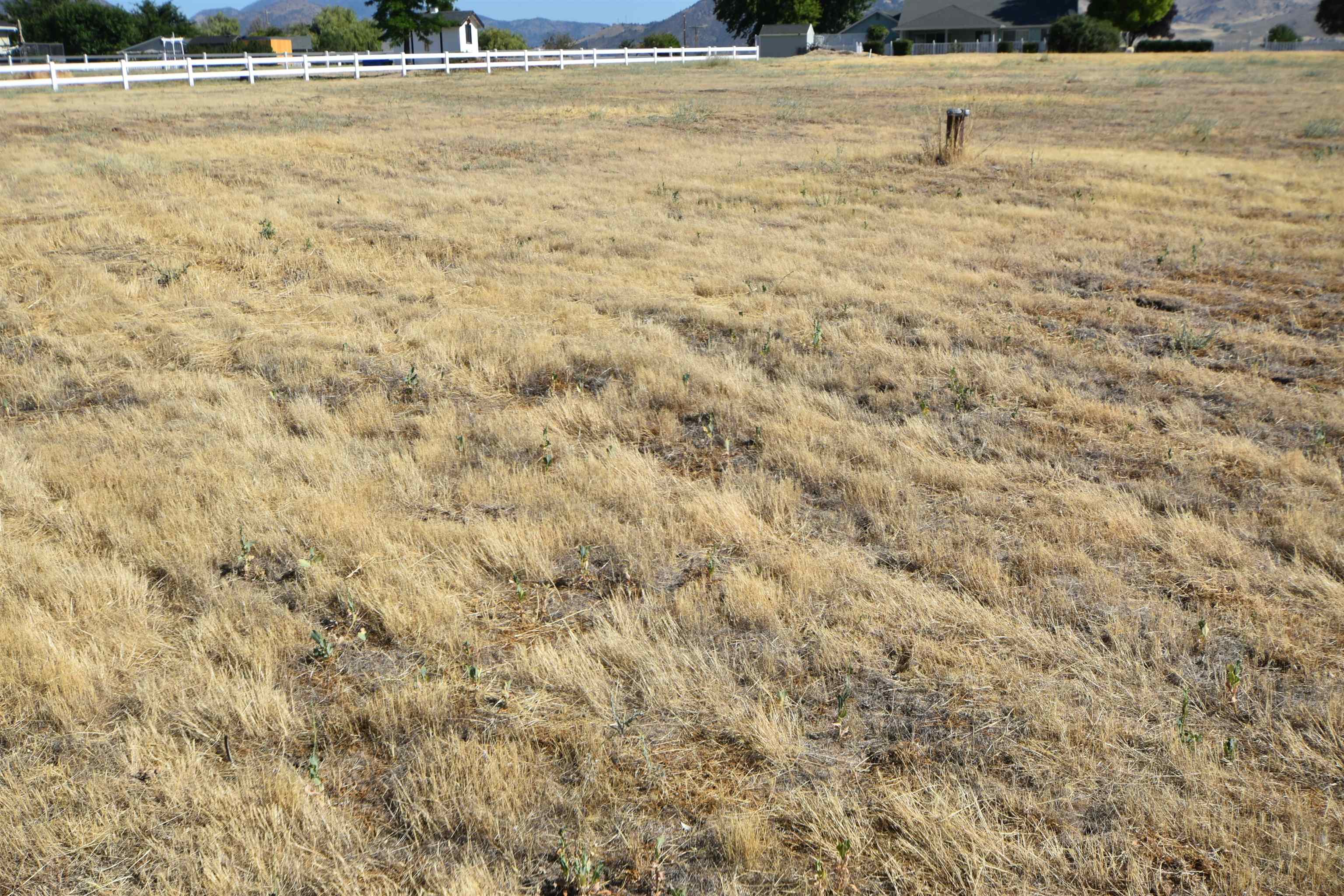 Lot 39 Montair Dr.