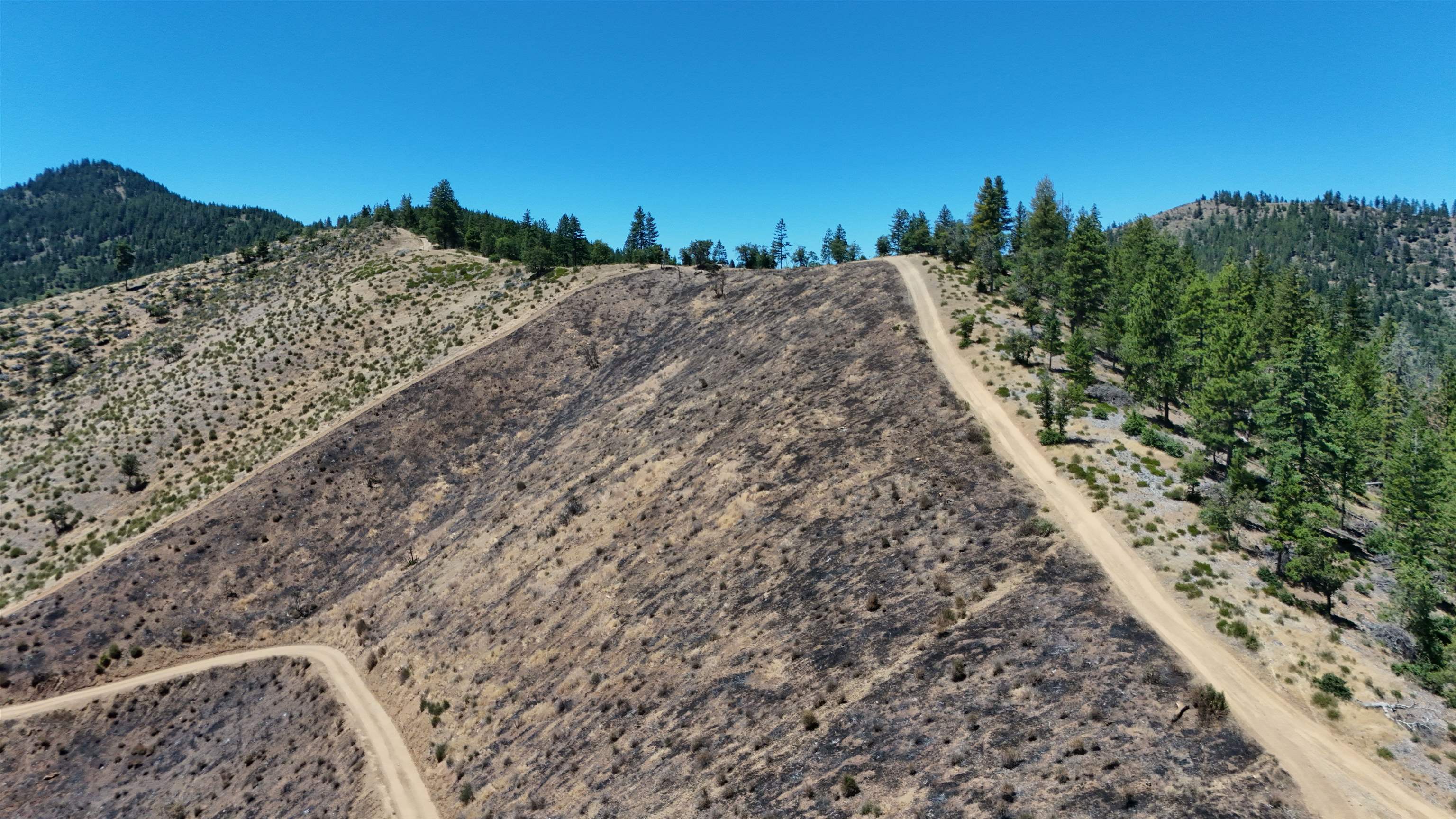 626 Acres Yreka Waker/Humbug Rd