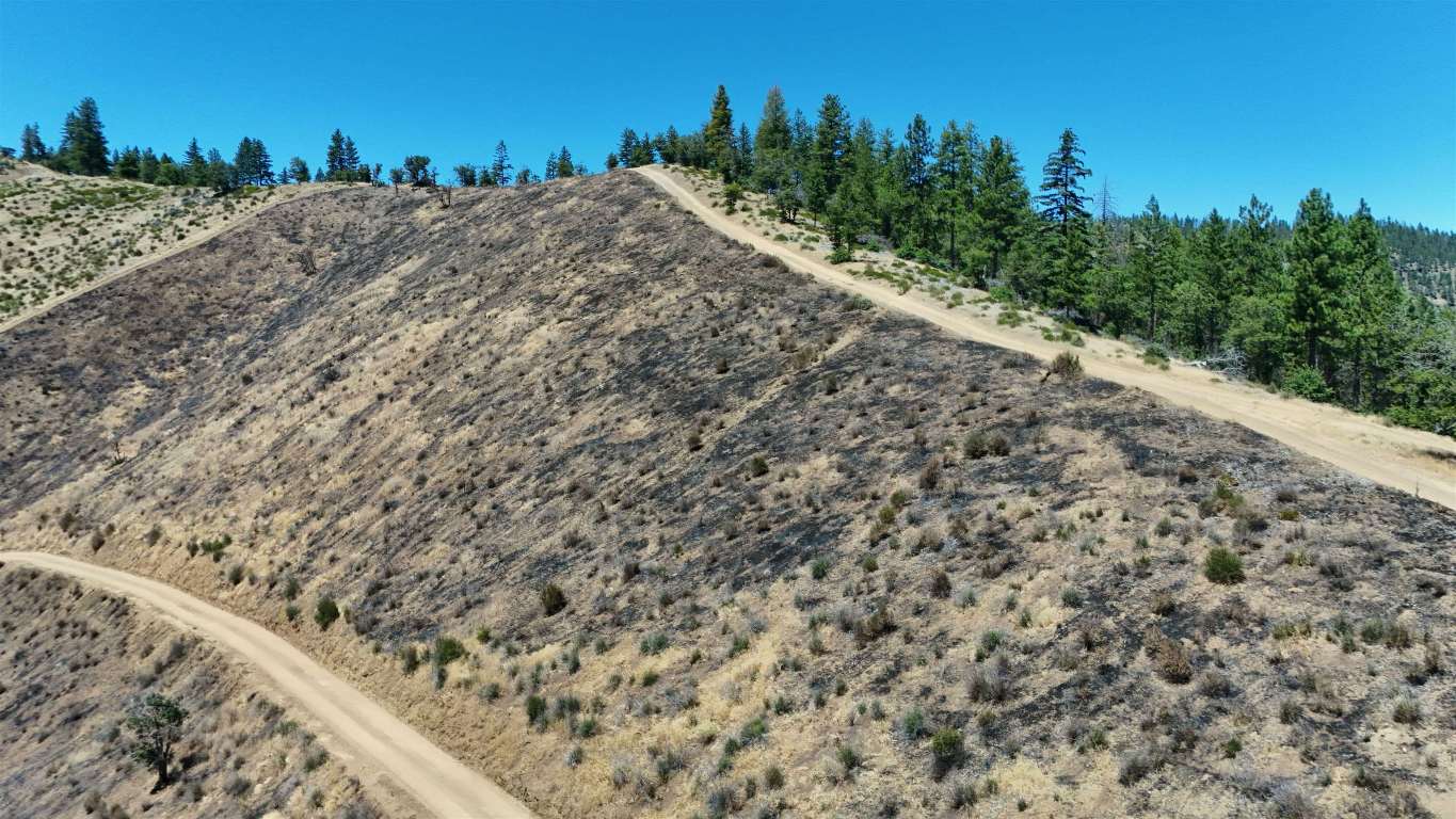 626 Acres Yreka Waker/Humbug Rd