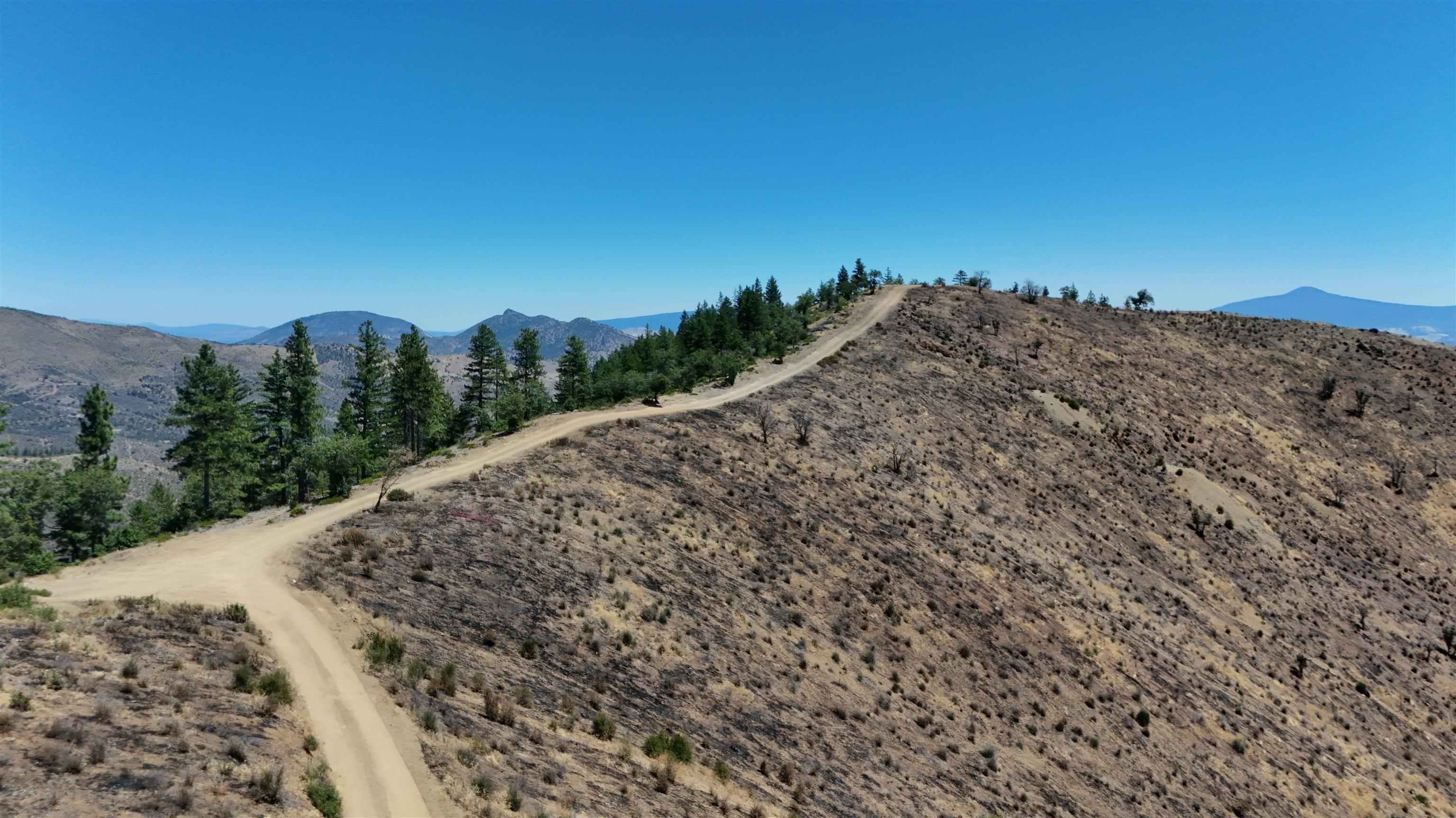 626 Acres Yreka Waker/Humbug Rd
