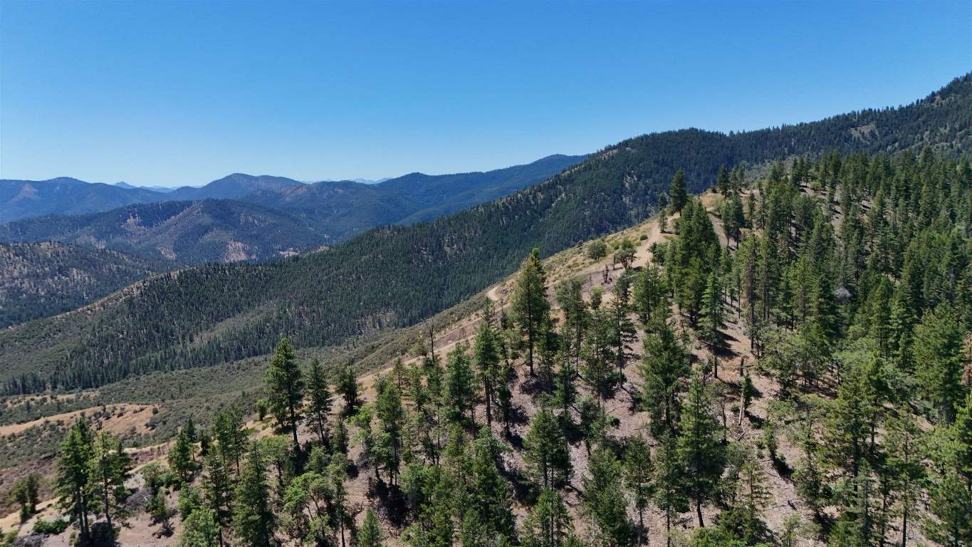 626 Acres Yreka Waker/Humbug Rd